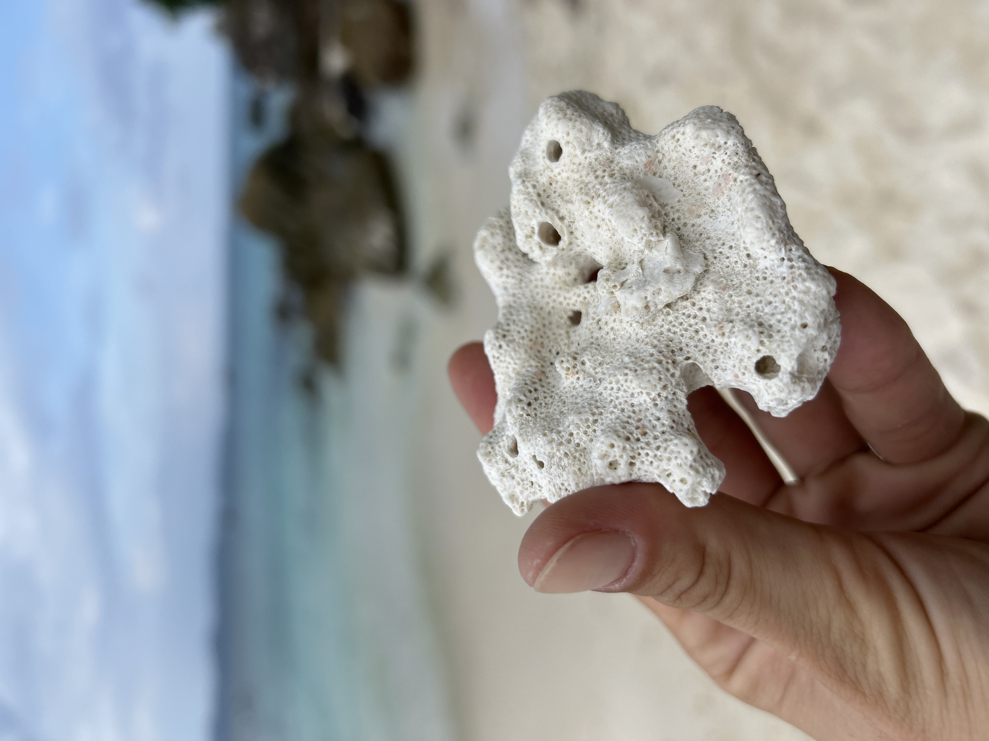 In Tambon Phru Nai, Thailand, a person's hand is holding a piece of white coral on a sandy beach. The coral is intricate and porous, with several small holes. In the background, the turquoise ocean meets the shore, with rocks visible in the water and a blurred green island in the distance. The sky is overcast with clouds.
