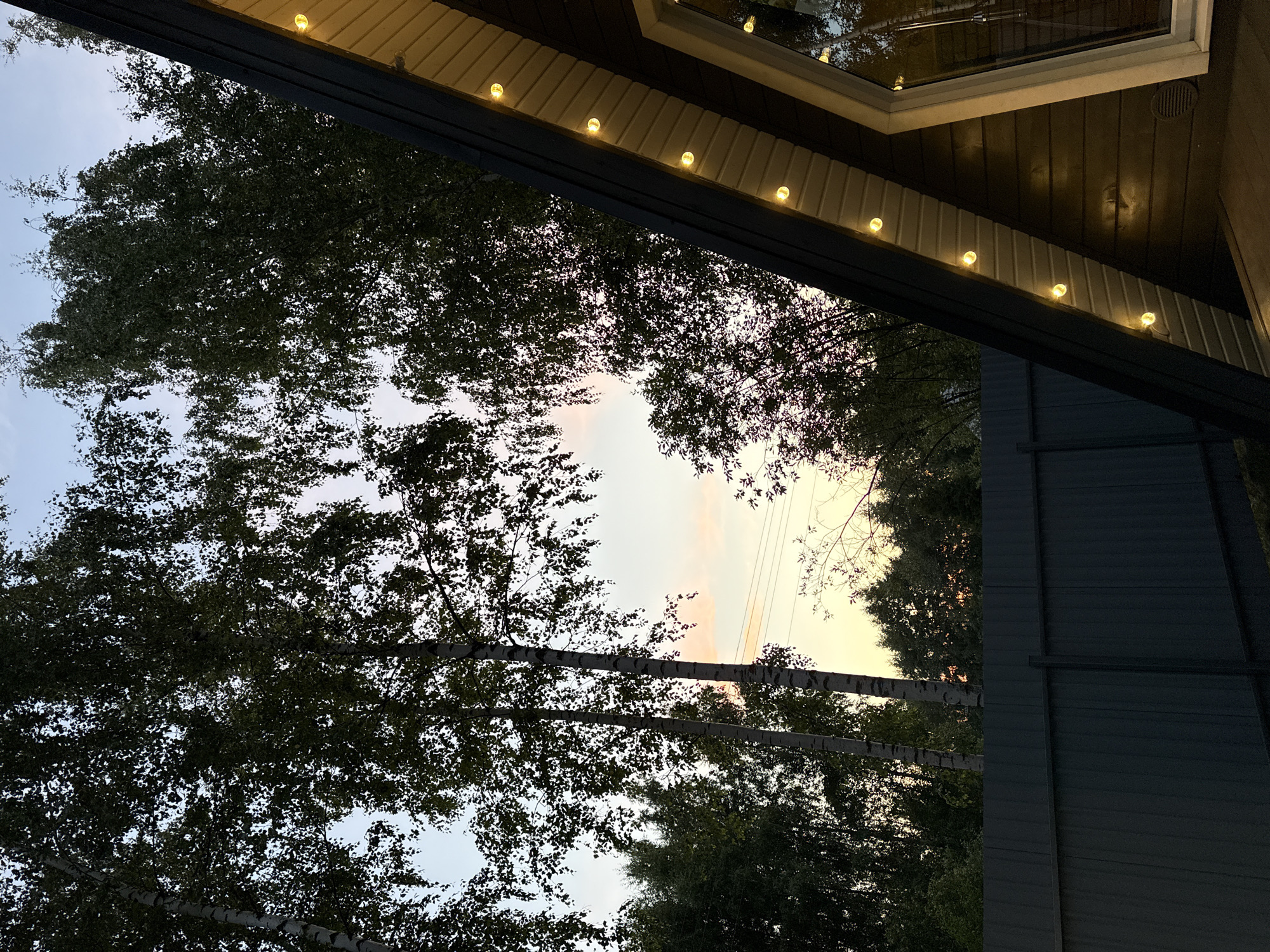 The image depicts a view of the exterior of a modern, A-frame house with a dark wooden facade and a triangular roofline adorned with string lights. The house is situated in a natural setting, with tall trees, including birch trees, dominating the background. The sky shows signs of twilight, with soft hues of pink and yellow. A dark, corrugated metal fence runs along the bottom of the image, suggesting a property boundary. The overall atmosphere is peaceful and rural.
The metadata indicates that the location is Prokudino, Russia. However, without further information or context, it is impossible to determine the specific details of the house or its surroundings within the city. There are no people or animals visible in the image. The focus is on the architectural style of the house and its integration with the natural environment.