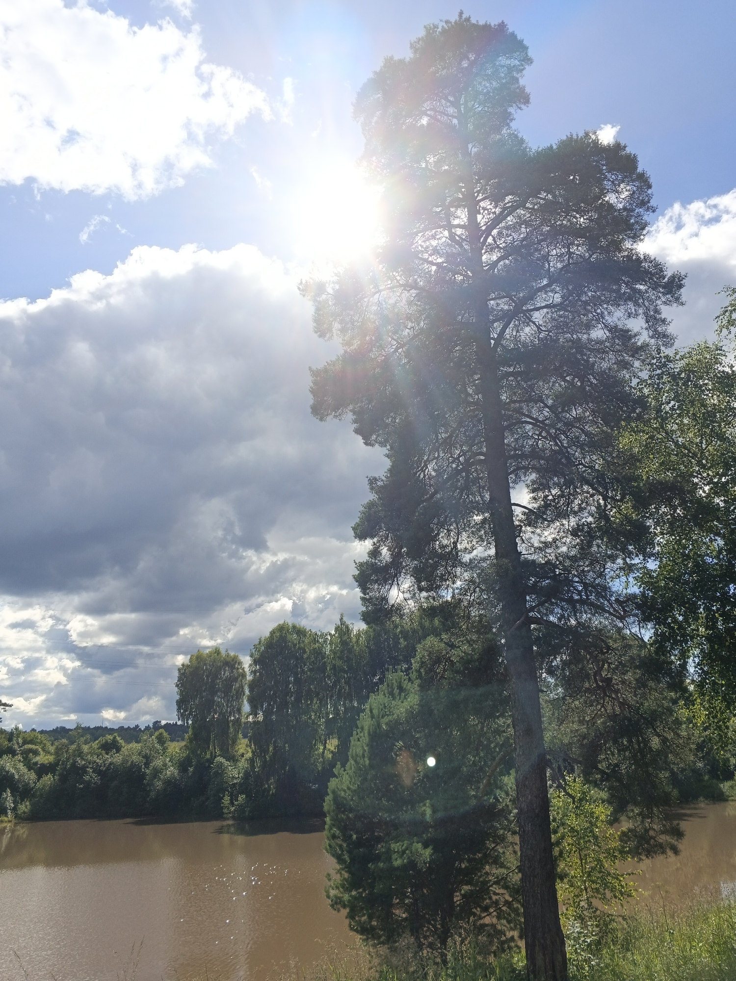 A sun-drenched, wide-angle shot captures a serene natural landscape in Medvedevka, Russia. The foreground is dominated by a tranquil, muddy-brown river that reflects the bright sky. Small, shimmering highlights dot the water's surface, possibly from insects or light refractions. Along the riverbank, lush green foliage forms a dense natural barrier, with trees of varying heights and types, including tall pines and birch trees, densely packed together.
In the background, a rolling landscape of trees and vegetation stretches towards the horizon under a dynamic sky. The sky is a mix of brilliant blue and dramatic, dark grey clouds, suggesting a partly cloudy day with a strong sun. The sun itself is prominently featured, shining brightly from the upper right quadrant of the frame, casting strong rays and lens flare across the image, particularly obscuring the upper branches of a tall, dark-barked pine tree that stands prominently in the mid-right of the composition. The intense sunlight highlights the textures of the clouds and illuminates the foliage, creating a contrast between light and shadow.
The time of day appears to be midday, given the high angle of the sun and the intensity of its light. The overall mood is peaceful and natural, evoking a sense of the quiet beauty of a Russian countryside. There is no visible text in the image.