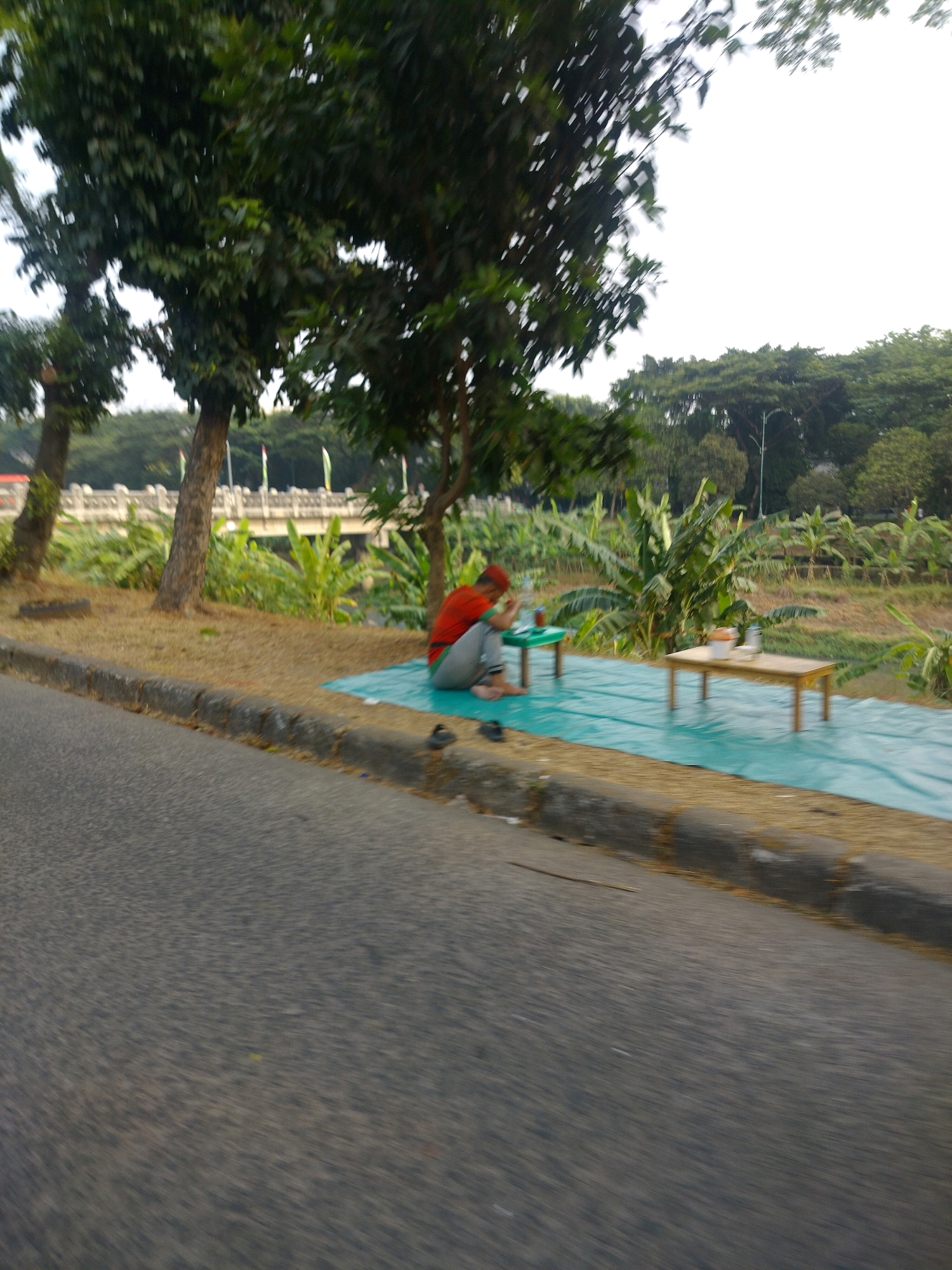 In East Jakarta, Indonesia, a person wearing a red shirt and grey pants is sitting on a light blue tarp. The tarp is spread on dry grass next to a paved road. There are two low tables set up on the tarp. One table, a dark green color, has a plastic bottle and other items on it. The other table, a light brown wood, holds a basket or container and two bottles. Behind the tarp, a river or body of water is visible, bordered by lush green vegetation, including banana plants. In the background, a bridge with decorative elements spans the water, and several flags on poles are visible. Mature trees with dense foliage are scattered throughout the scene, with the sky appearing overcast. The image appears to be taken from a moving vehicle due to the motion blur present in the foreground and the overall composition.