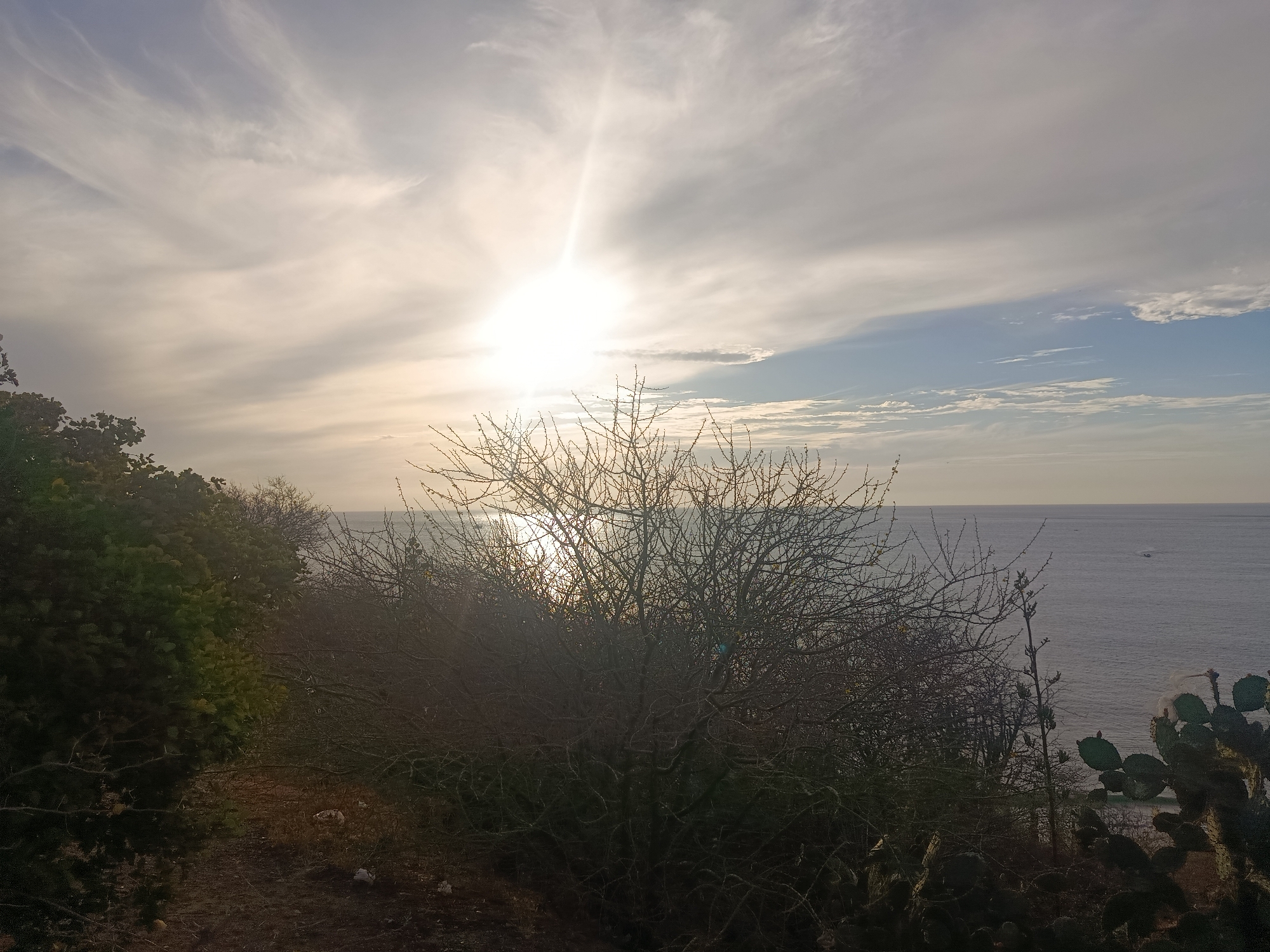 The image depicts a coastal landscape in Juan Griego, Venezuela, during daylight. The sky is predominantly bright with the sun visible, partially obscured by clouds. A linear light phenomenon, possibly a sun pillar, extends vertically from the sun. In the foreground, there are trees and vegetation, including what appear to be cacti. The branches of a leafless tree obscure the horizon and the sea. A body of water, presumably the Caribbean Sea, is visible behind the vegetation, with a small boat or ship visible in the distance. The terrain is uneven, suggesting a hillside or cliff overlooking the sea.