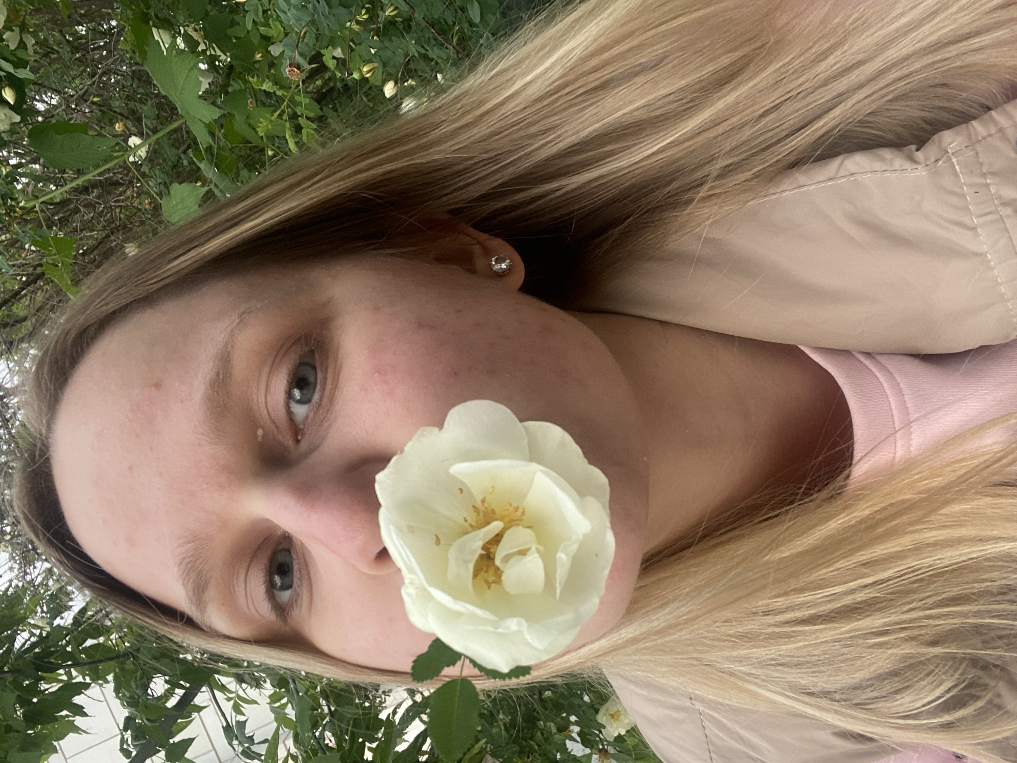 An outdoor, close-up portrait within the city of Unknown, Unknown, features a person with long, straight blonde hair. The person's eyes, appearing light grey-blue, are visible, while a single light cream-colored rose, with a yellow center and one attached green leaf, is positioned directly in front of the nose and mouth, obscuring them. A small, circular, silver-toned stud earring is present in the right earlobe. The person is wearing a light pink crew-neck garment underneath a light beige or tan puffer vest or jacket. The background consists of dense green foliage, suggesting a garden or overgrown area, with a partial view of a light-colored building structure on the upper left side.