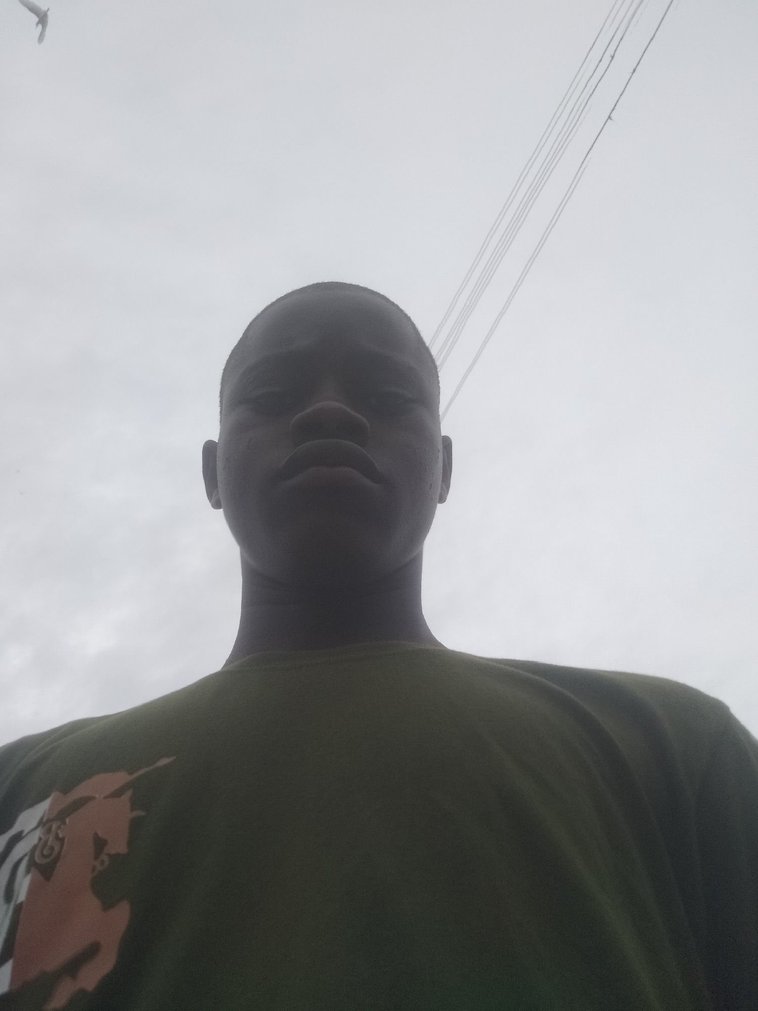 A low-angle, medium shot depicts a Black male outdoors in Epe, Nigeria. He is wearing an olive-green t-shirt with a logo of a horse and rider visible on the lower left side of the shirt. Overhead are electrical wires. The background is an overcast sky. The male is facing the camera.