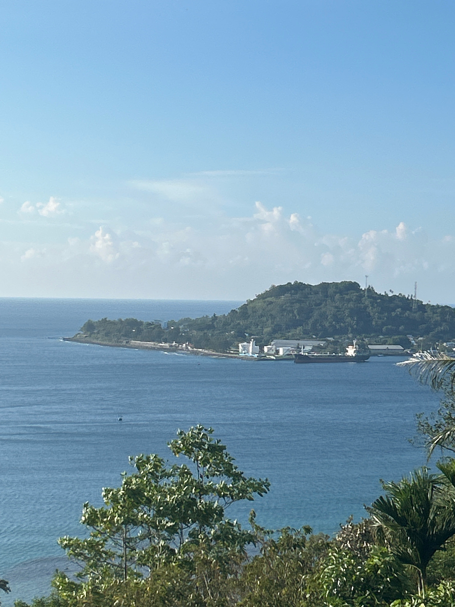 This is a vertical, eye-level shot of a coastal landscape, likely taken from an elevated viewpoint looking out over the ocean towards a peninsula and island. The sky is a clear, bright blue with a few scattered white clouds. The sea is a deep blue, with gentle waves visible.
In the mid-ground, a verdant, hilly peninsula juts out into the water, densely covered with trees. Along the shoreline of the peninsula, there are several buildings, including what appear to be industrial structures and a large ship docked or anchored in the bay. Communication towers are visible on the highest points of the island. The water in the bay is calmer than the open sea.
In the foreground, the edge of lush green foliage, including trees and palm fronds, frames the bottom and right sides of the image, suggesting the viewpoint is from a hillside covered in vegetation. A small dark object, possibly a boat, is visible in the far distance on the water.
This scene is consistent with the topography and coastal features found in Sabang, Indonesia, particularly around the economic and port areas of the island.