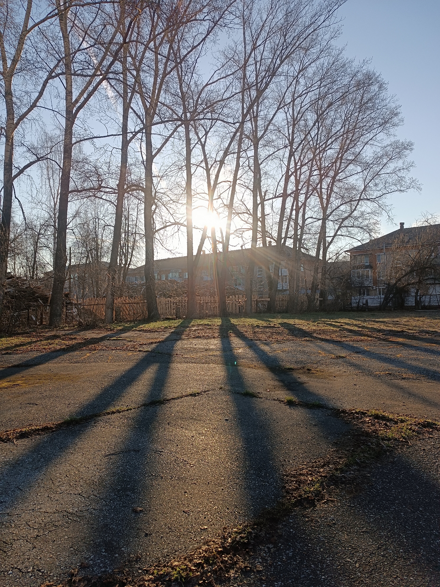 The image shows a street scene with several bare trees casting long shadows across a cracked asphalt surface. The sun is visible behind the trees, creating a lens flare effect. In the background, there are multi-story buildings with windows. A wooden fence is situated between the trees and the buildings. The ground is partially covered with leaves and grass. The location is an urban area.