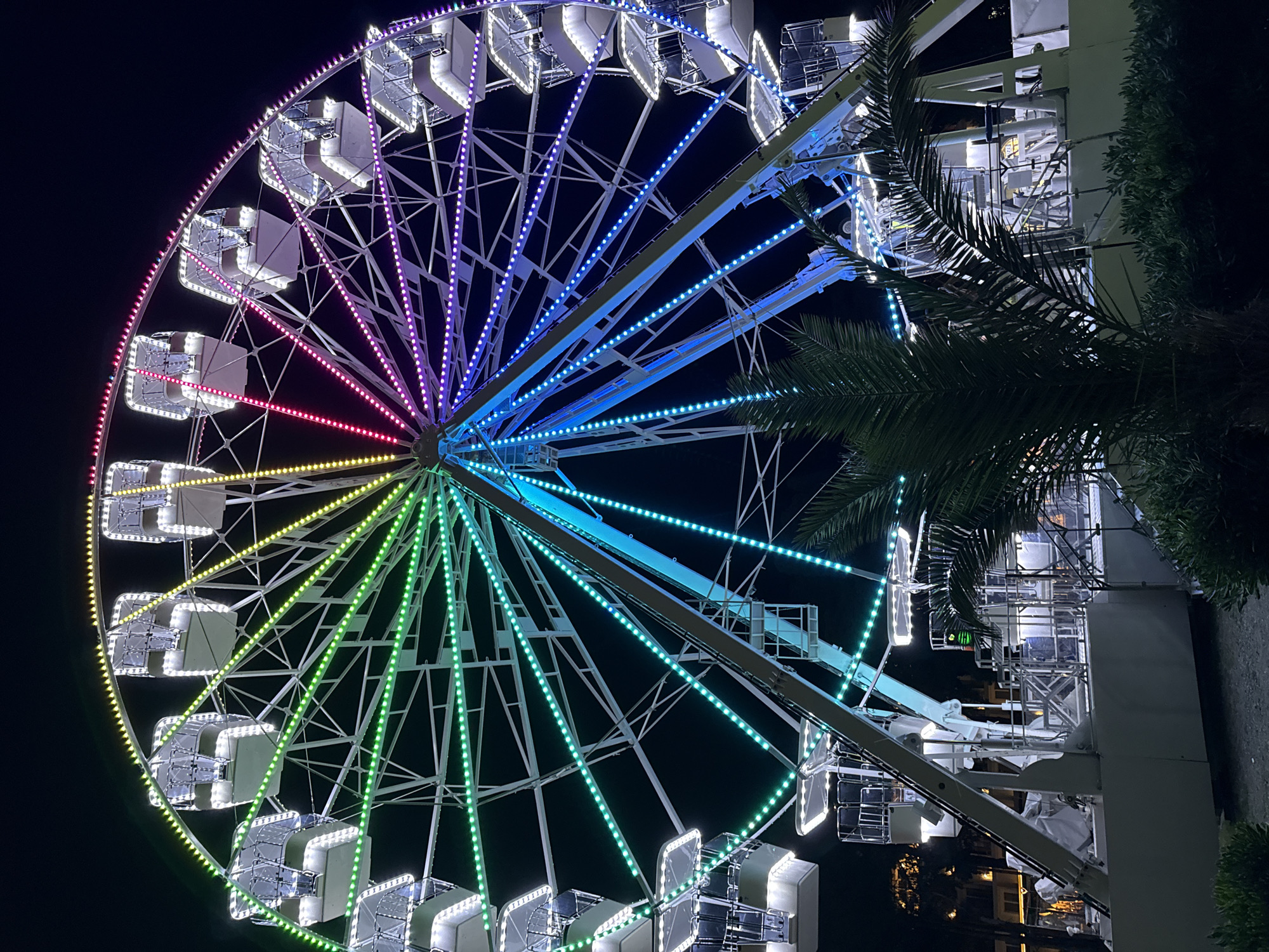 An illuminated Ferris wheel stands tall against a dark night sky, its structure adorned with a vibrant spectrum of colorful LED lights. The lights transition from yellow and green on the left to pink, purple, blue, and turquoise on the right, creating a dazzling display. Several white gondolas are suspended from the wheel, their interiors illuminated with bright white lights. The base of the Ferris wheel is white, with visible support structures and stairs. In the foreground, the fronds of a palm tree and dark green bushes partially obscure the lower portion of the Ferris wheel and its base. In the background, out-of-focus lights suggest the presence of buildings and urban elements, hinting at a city location, likely Budva, Montenegro, where such amusement rides are common attractions in the evening. No people are visible in the image.
