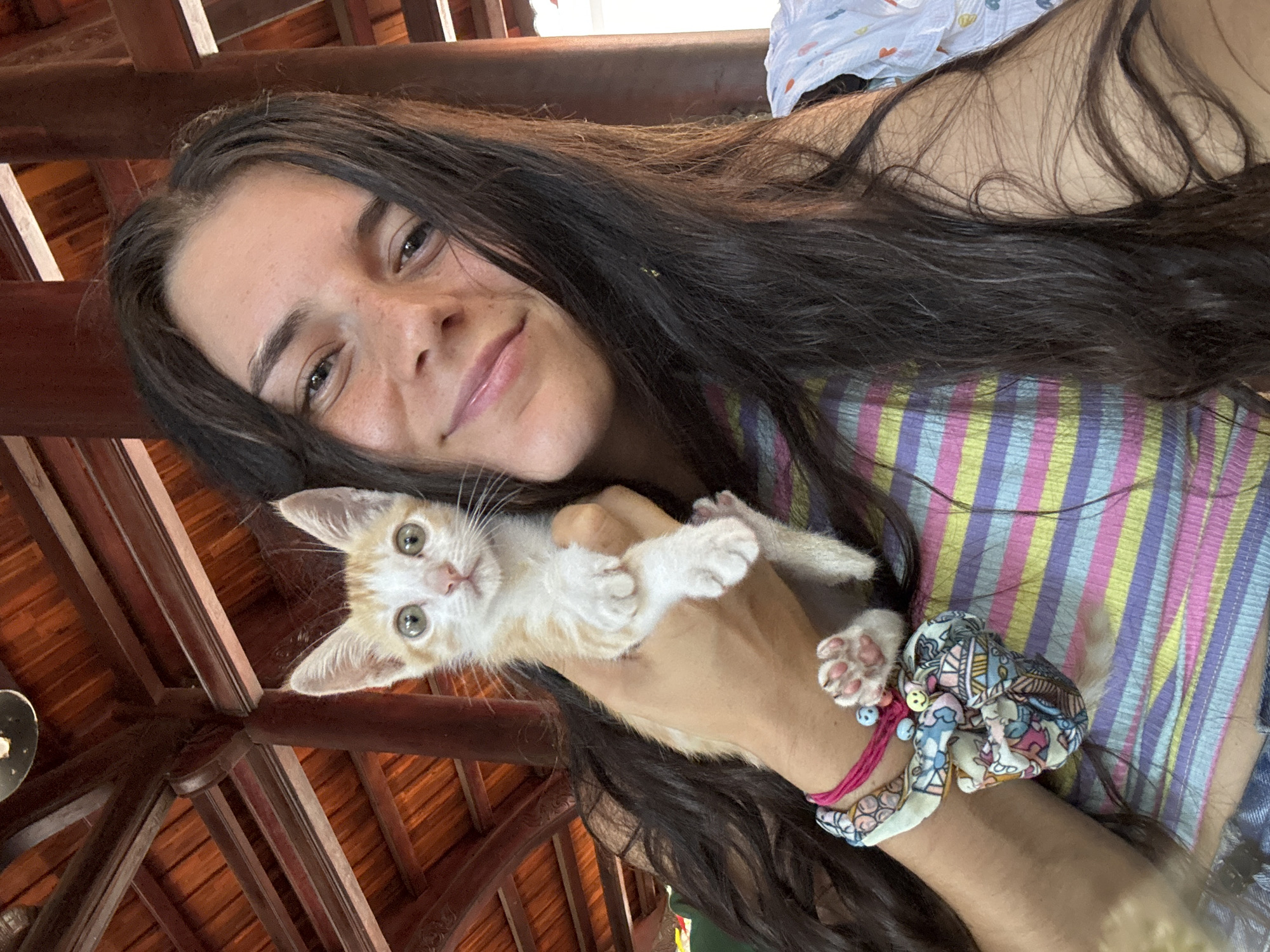 A young woman with long, dark hair is holding an orange and white kitten. She is wearing a multi-colored striped shirt. The background appears to be a rustic wooden structure, possibly part of a building or shelter, with exposed beams and a wooden ceiling. The setting suggests an outdoor or semi-outdoor environment in Mũi Né, Vietnam. The woman is smiling and looking at the camera, and the kitten is looking directly at the camera with its paws in the air. A colorful bracelet adorns the woman's wrist.
