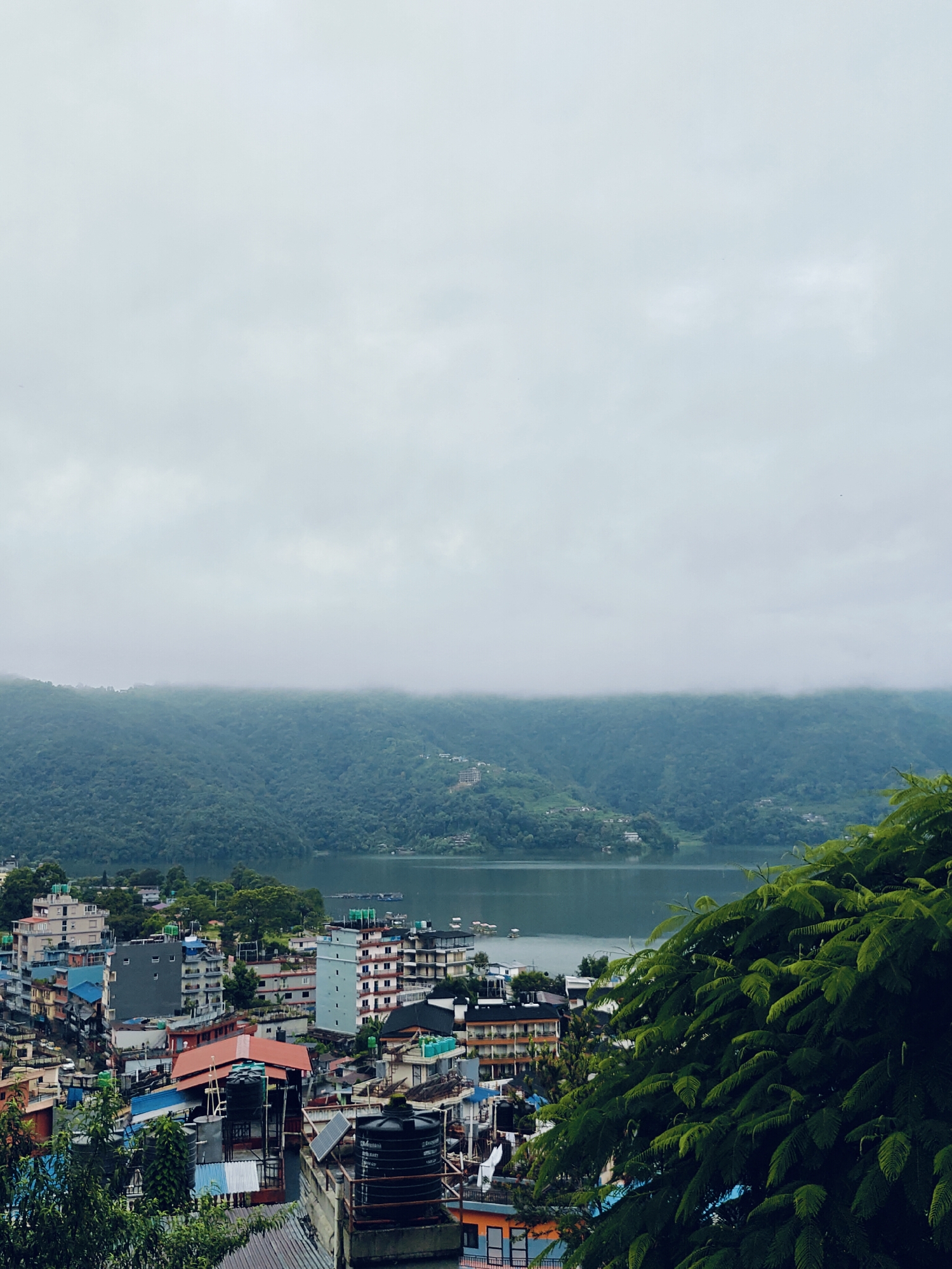 The image depicts a panoramic view of Pokhara, Nepal, on a cloudy day. In the foreground, lush green foliage partially obscures a dense urban area characterized by multi-story buildings of varying colors and architectural styles. Many buildings feature flat roofs with water tanks and some have solar panels. A body of water, likely Phewa Lake, is visible in the midground, reflecting the muted sky and surrounding hills. The background is dominated by a verdant, mist-shrouded mountain range, with hints of scattered structures on its slopes. The overall atmosphere is serene and slightly melancholic, suggesting a cool, overcast climate.