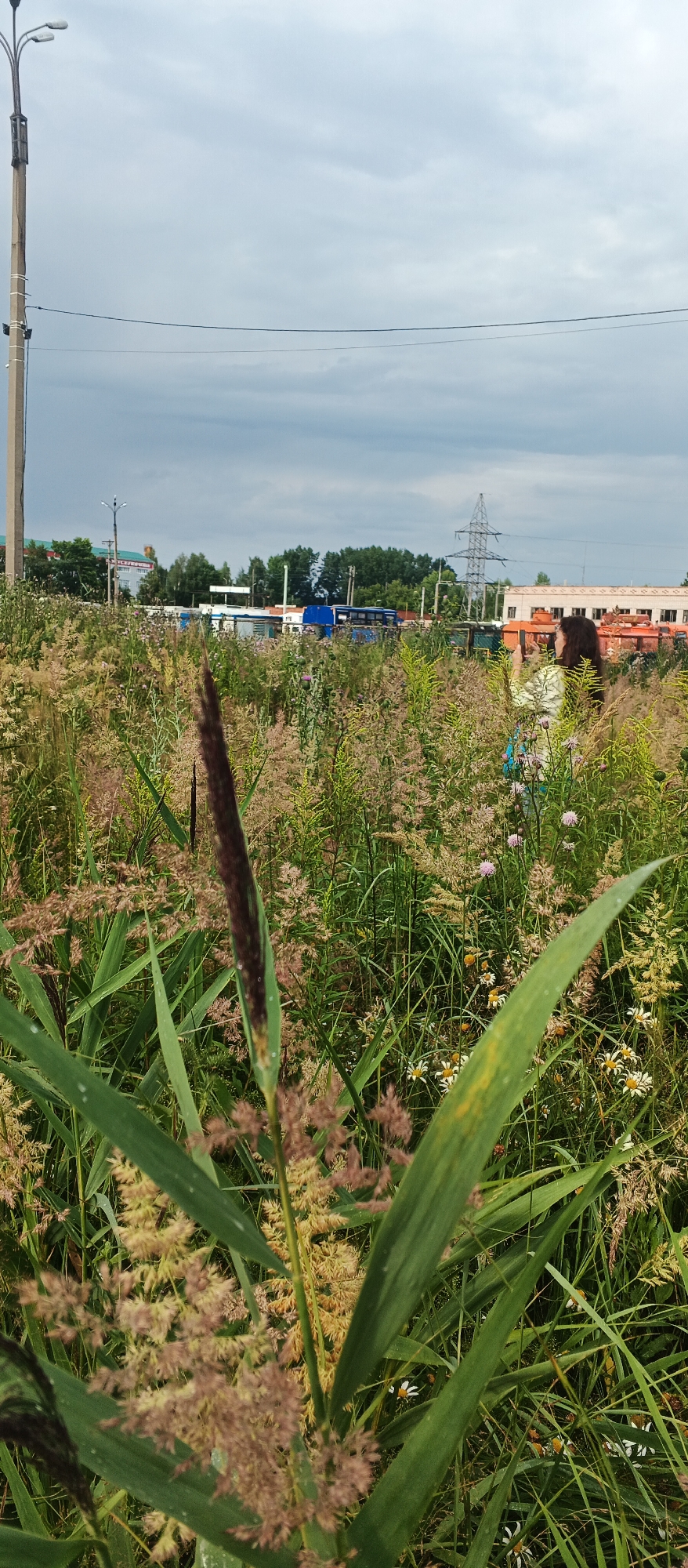 In Izhevsk, Russia, a person with dark hair is photographed holding a smartphone and taking a picture amidst a field of tall, dry grass and vegetation. The background reveals a cloudy sky, a lamppost on the left, power lines, trees, industrial buildings, and several buses. The foreground features a close-up of a dark, elongated seed head of a plant, with its green leaves extending towards the viewer. The overall scene suggests an outdoor setting possibly near a transportation hub or industrial area, with the person engaging in photography.