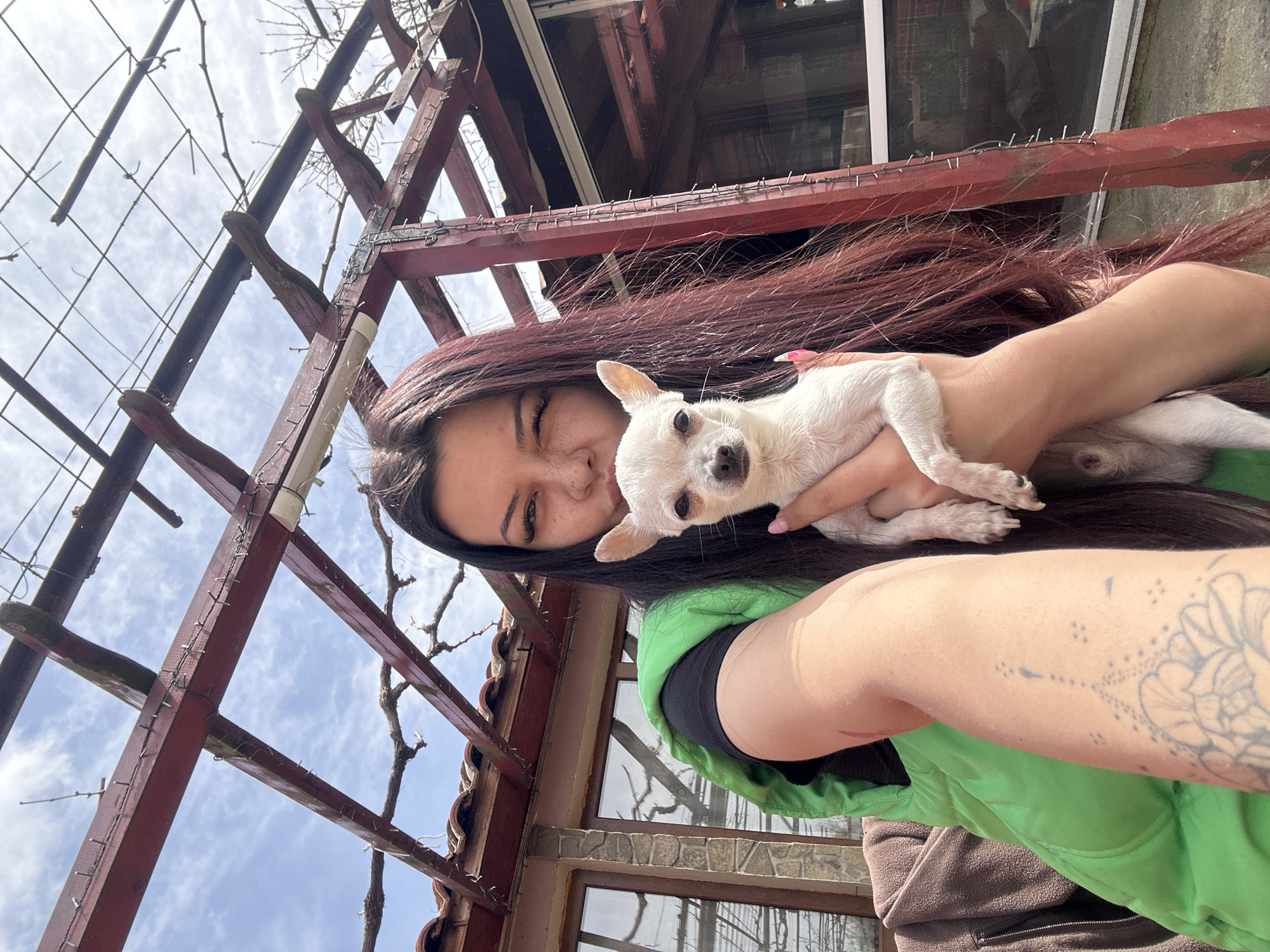 A woman with long, reddish-brown hair is holding a small, white Chihuahua dog outdoors. The woman has fair skin and is wearing a green jacket over a black garment. Her left arm is visible, bearing a tattoo. The dog is looking directly at the camera.
The background includes a reddish-brown wooden structure with wires and bare branches suggesting a pergola or trellis. Above the structure, the sky is visible with some white clouds.
Beneath the woman and the dog is part of a building exterior, featuring windows and a stone-like facade. The image is taken outdoors in daylight in the city of Chubra, Bulgaria.