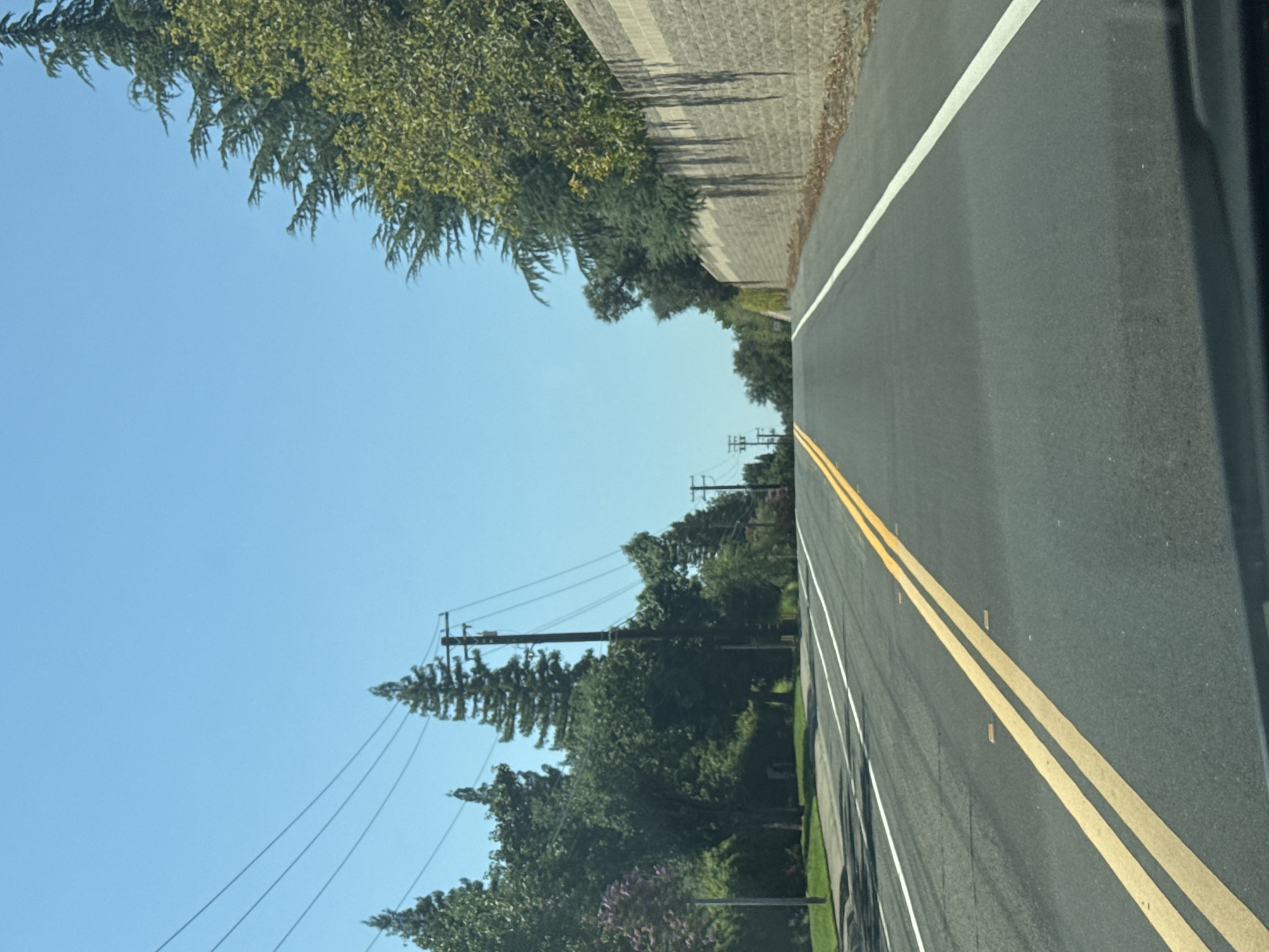 The image shows a view from inside a vehicle driving on a road in Citrus Heights, California. The road has a clear blue sky above and is lined with trees and power poles on both sides. A textured concrete wall runs along the right side of the road, topped with lush green trees. The road itself has double yellow lines down the center and white lines marking the lanes. The scene appears to be a suburban or semi-rural area with well-maintained greenery.