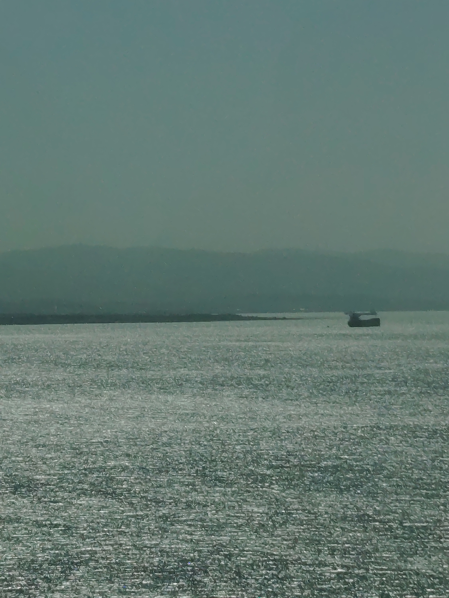 The image presents a serene seascape dominated by a vast body of water under a hazy sky. In the foreground and mid-ground, the water's surface shimmers intensely, reflecting light in countless small, bright glints, creating a textured pattern across the entire expanse.
In the middle distance, slightly to the right of the frame, a dark, blocky vessel, likely a cargo ship or similar large boat, is visible. It appears as a silhouette against the sparkling water, its form somewhat indistinct due to distance and atmospheric conditions. Beyond the water, a long, low-lying landmass, possibly a range of hills or mountains, stretches across the horizon. This distant landscape appears muted and layered, fading into the ambient light, suggesting either significant distance or atmospheric haze. The sky above is a uniform, subdued blue-green or grey, blending softly with the distant land.
The scene conveys a sense of spaciousness and tranquility. The strong reflections on the water indicate daylight, but the overall muted tones and atmospheric blur suggest either an overcast day or significant haze. There are no visible people or discernible text in the image. The location is contextualized as Dilovası, Turkey, suggesting the scene depicts a view across a part of the Sea of Marmara or the Gulf of Izmit.