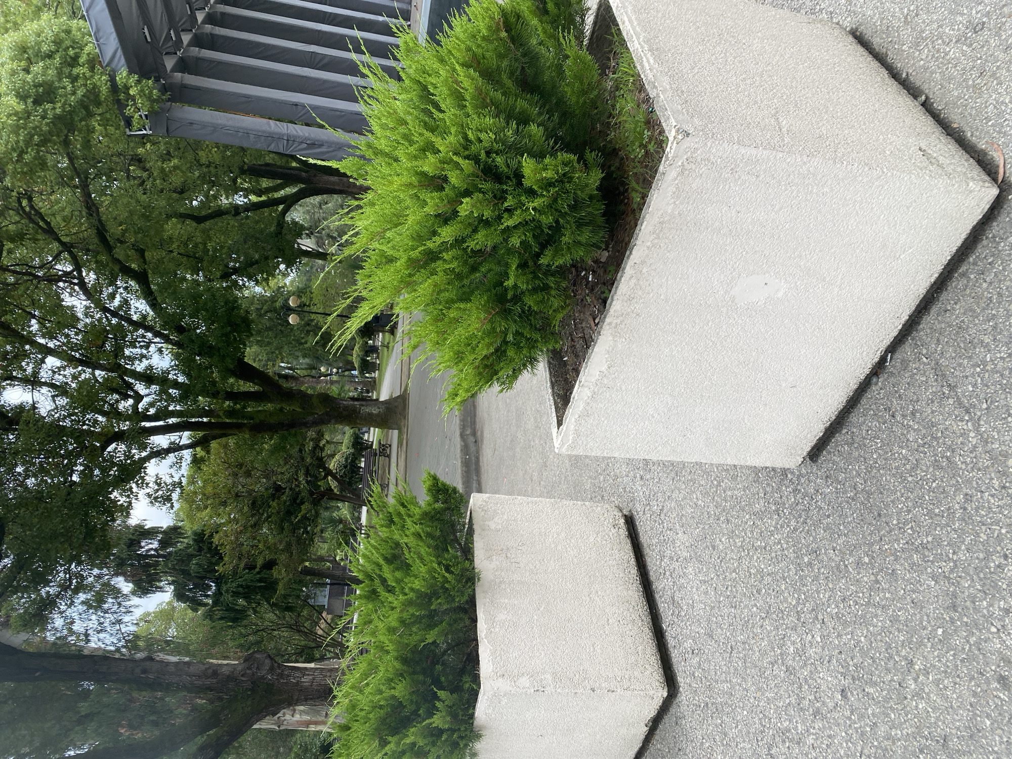 Two white, rectangular concrete planters with lush green bushes are positioned on a grey asphalt surface. The planter in the foreground is larger and closer to the viewer, while a second, smaller planter is visible to its left and further back. Beyond the planters, a park-like setting is revealed with mature trees, pathways, and park benches. In the background, a grey structure with vertical supports is partially visible on the right side of the image. The overall scene depicts an outdoor public space.