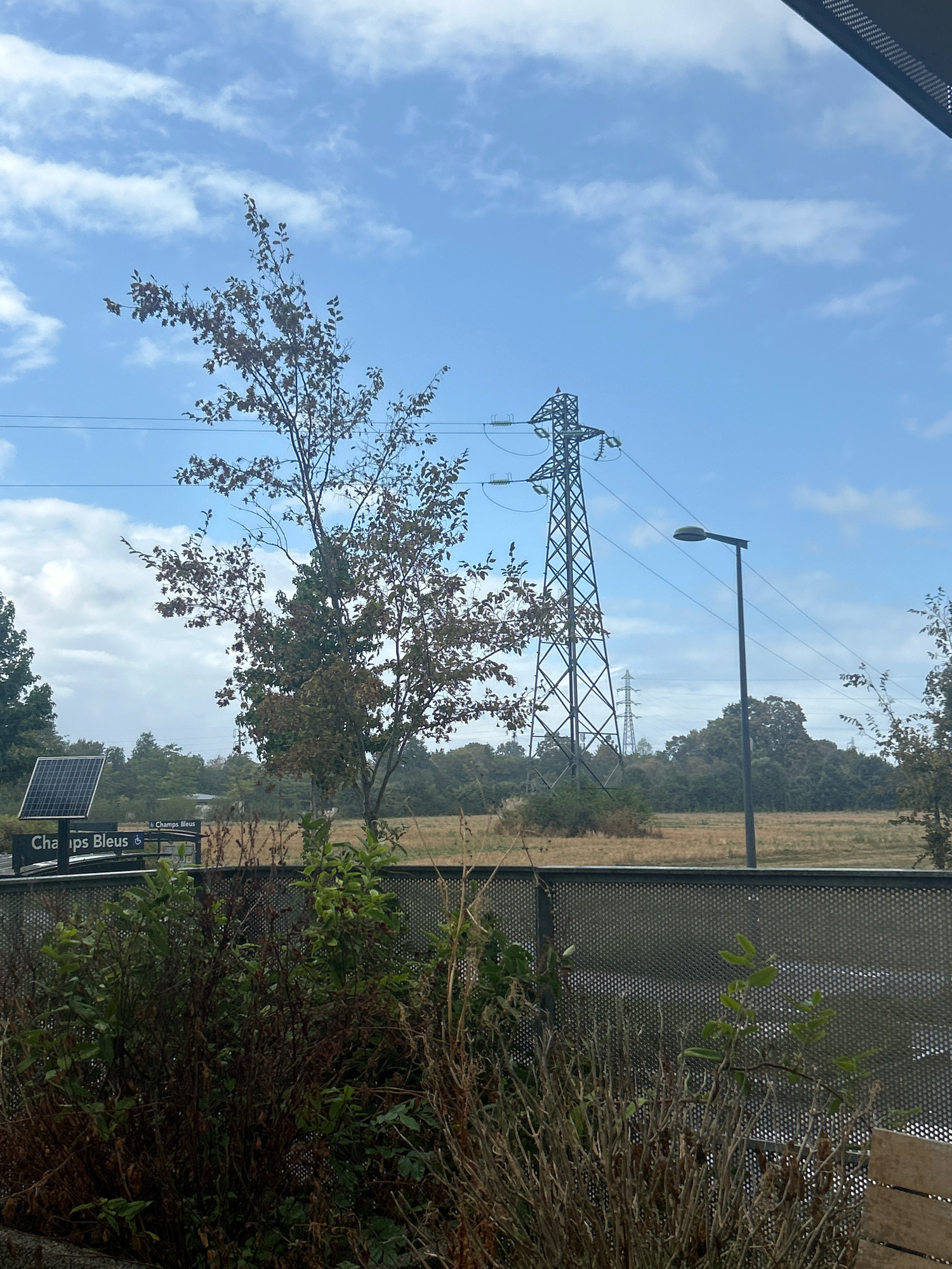 The image depicts an outdoor scene with power lines and vegetation. A tall, lattice-style transmission tower is prominent in the center-right, with high-voltage power lines extending from it. A street lamp is positioned to the right of the tower. In the foreground, there is a dense arrangement of dried and green vegetation, with a dark, perforated metal fence separating it from the background. To the left, a small solar panel is visible mounted on a dark sign that reads "Champs Bleus." The background features a field of dry grass and a line of trees. The sky is partly cloudy, with patches of blue visible. The overall impression is one of an industrial or semi-rural area. The signage indicates the location is likely in or near "Champs Bleus" in Vezin-le-Coquet, France. There are no people visible in the image.