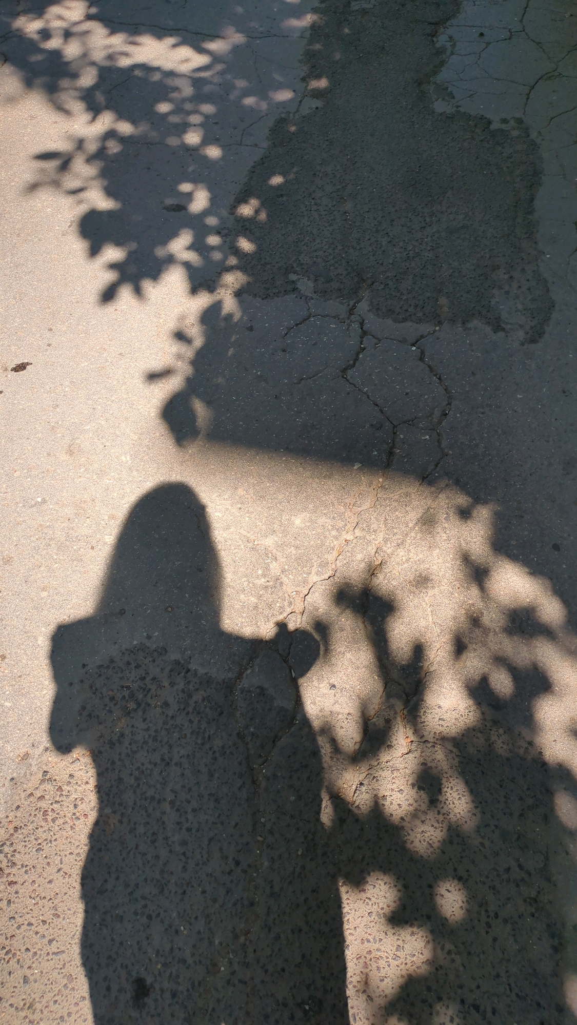The image shows the shadow of a person on a cracked asphalt surface. Sunlight filters through tree leaves, casting dappled shadows on the ground. The person's shadow is in the foreground, with their head and shoulders clearly visible. A larger shadow, possibly from another person or an object, is in the background. The environment appears to be an outdoor urban setting. The scene does not provide any specific indicators to pinpoint a location within Chișinău, Moldova.