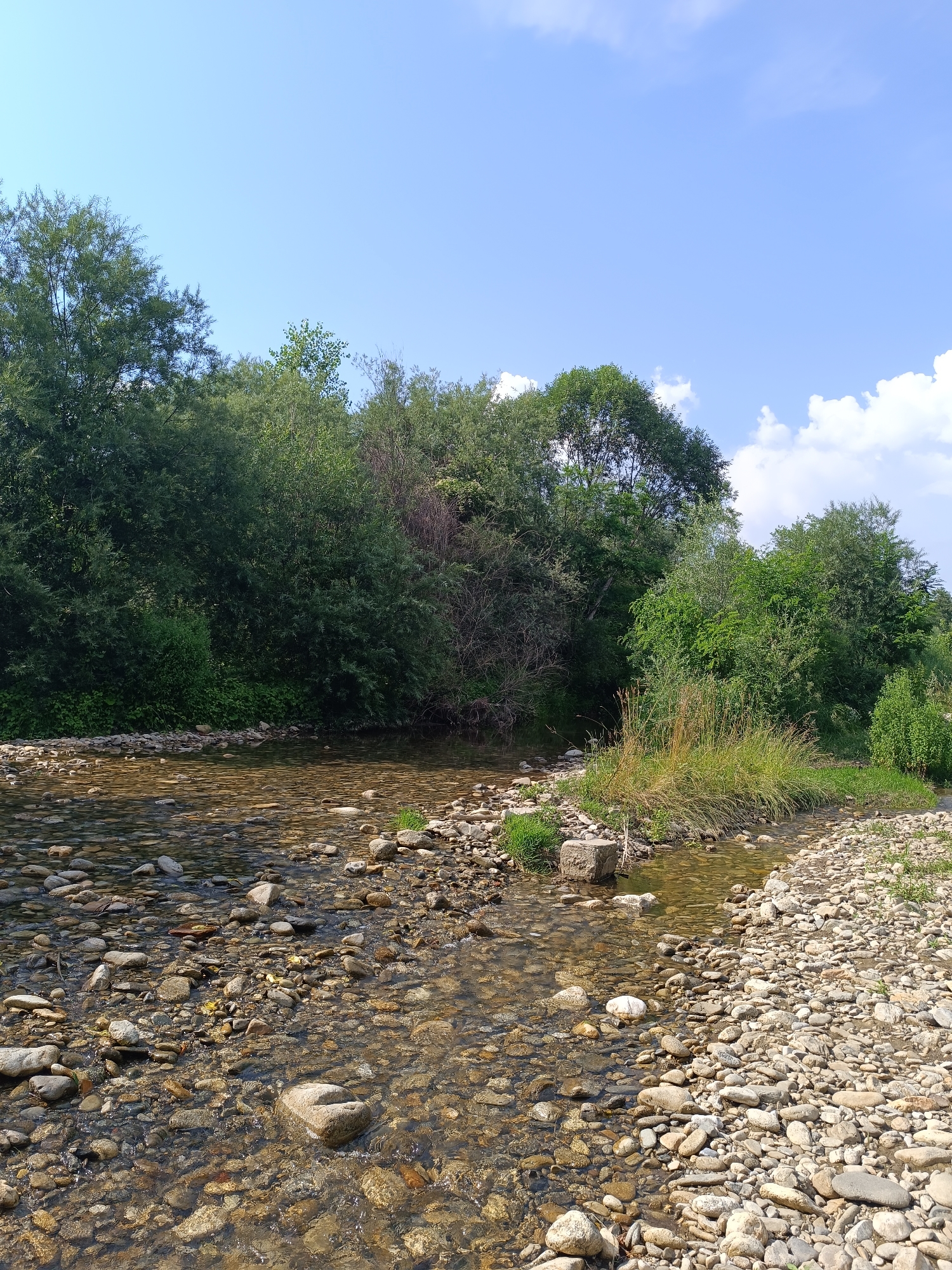 The image depicts a natural landscape in Stănești, Romania, featuring a shallow, clear river with a rocky bed. The river flows from the background towards the foreground, with smooth, varied-sized pebbles visible beneath the water's surface and along its banks. Lush green trees and vegetation line the riverbanks, forming a dense forest in the background. The sky above is a clear blue with a few scattered white clouds. The overall scene conveys a sense of tranquility and natural beauty.
