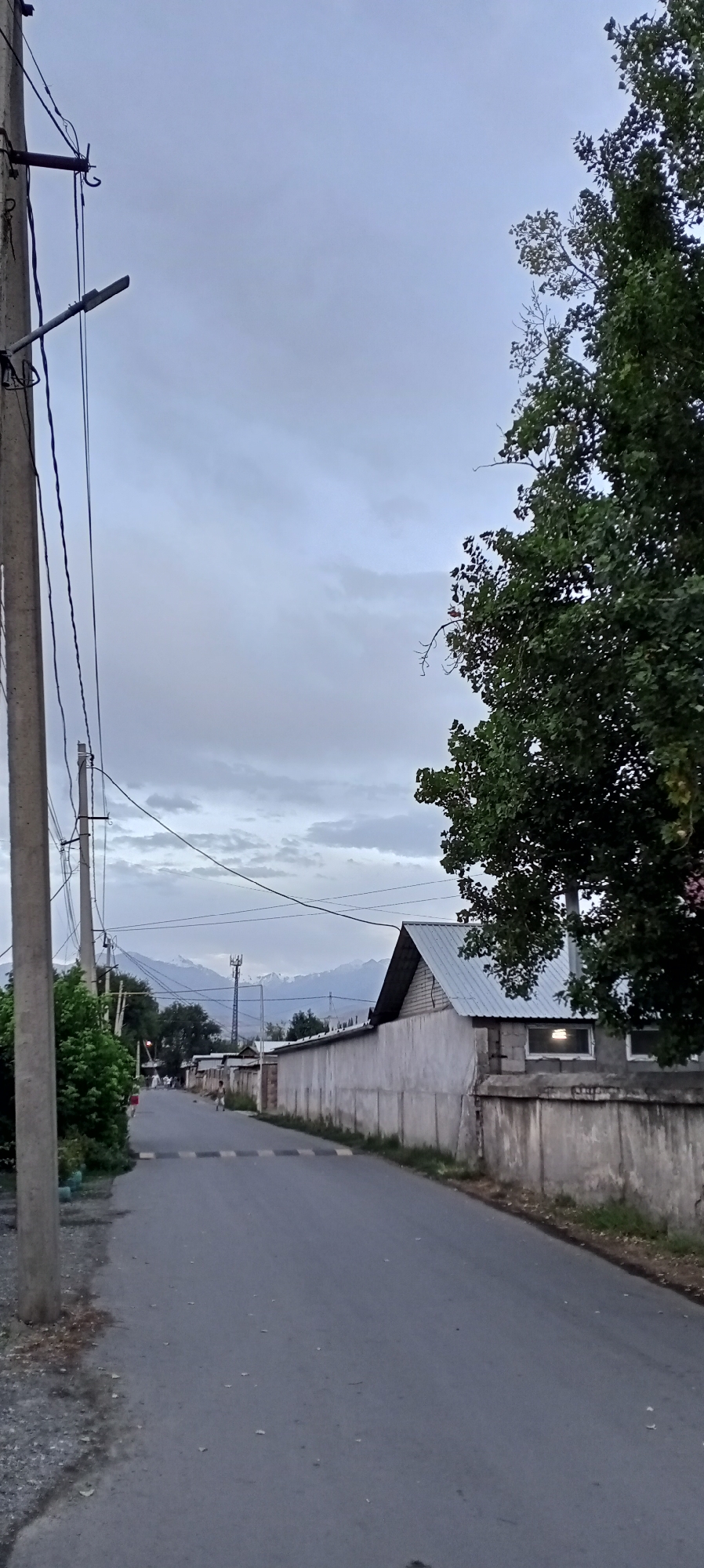 The image depicts a street scene in Sokuluk, Kyrgyzstan, under an overcast sky. A concrete utility pole with multiple wires is prominently positioned on the left side of the frame. To the right, a large tree with dense green foliage partially obstructs the view. The street is paved and has a pedestrian crossing marked by black and white stripes in the distance. On the right side of the street, a long, light-colored concrete wall runs along the property line of a building. The building itself has a light-colored metal roof and brickwork. In the background, snow-capped mountains are visible against the cloudy sky, with a cell tower also present. A few figures, appearing to be children, are visible walking on the street further down. The environment suggests a residential or semi-urban area.