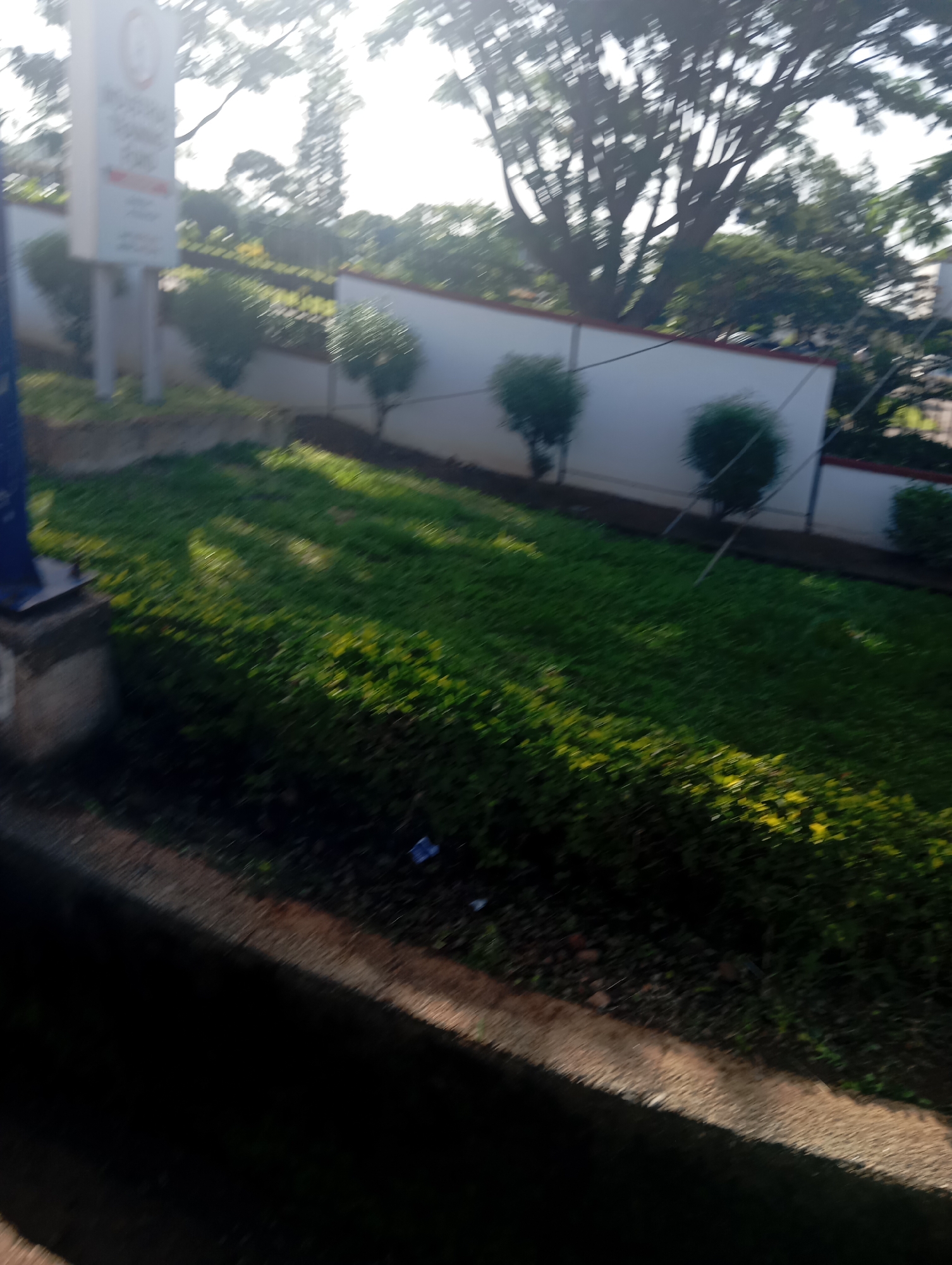 The image depicts an outdoor scene with a well-maintained lawn and a white wall in the background. In the foreground, a dark, possibly asphalt or concrete surface runs diagonally across the lower part of the frame, casting a shadow. The lawn is green and appears to be a public or commercial space, possibly within the city of Jos, Nigeria, suggested by the hints provided in the metadata of the original image.
On the left side of the image, a signpost with text and a circular emblem is partially visible. The signpost is white and stands on a concrete base. Behind the lawn, a white wall with a red trim runs horizontally across the image. Several small, rounded bushes are planted along the base of the wall. In the background, large trees with dense foliage are visible, with sunlight filtering through their branches, creating dappled light on the scene. The overall impression is of a serene, well-kept outdoor area. There are no people or discernible actions in the image.