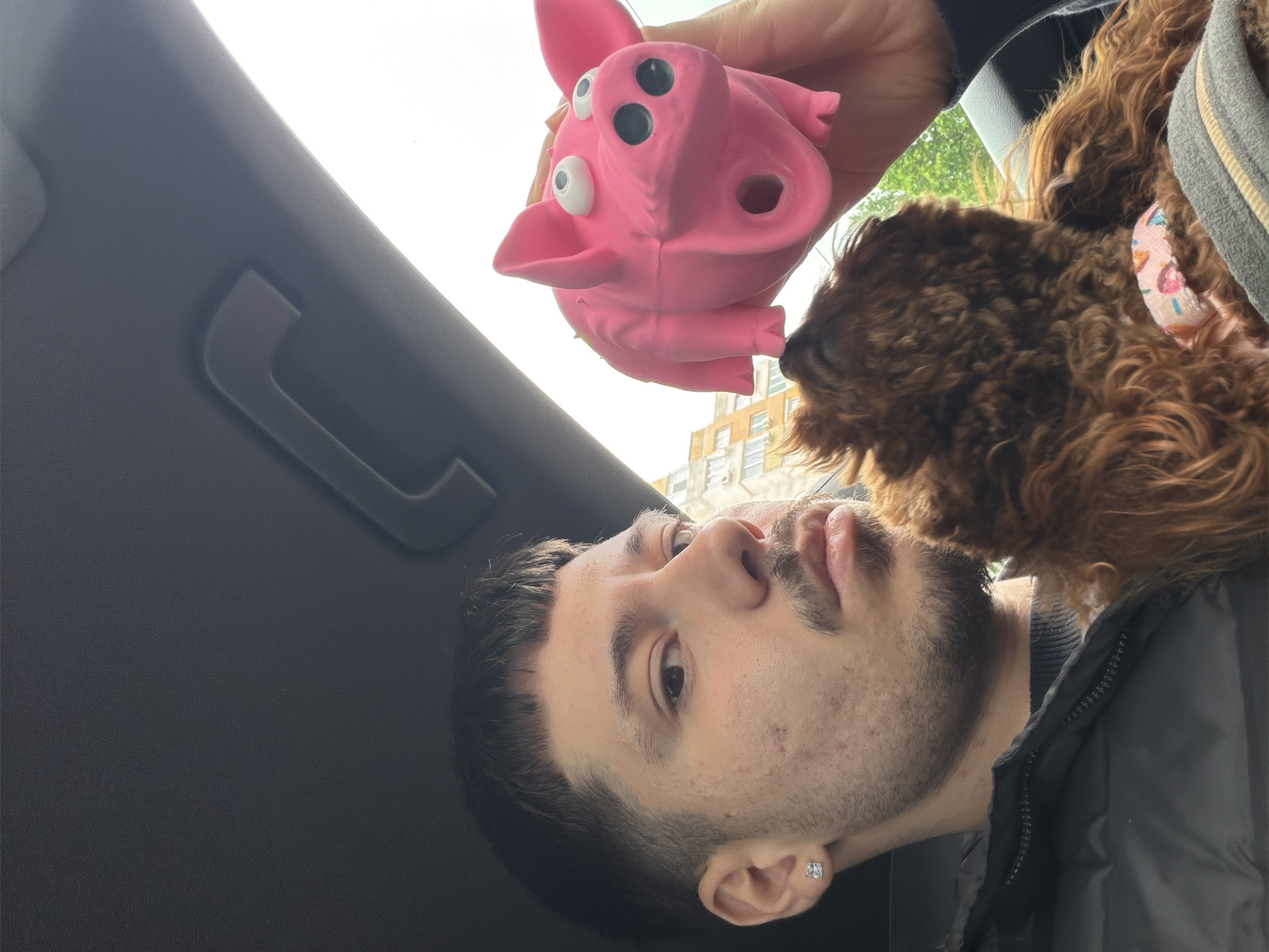 A selfie was taken inside a car. The man is looking towards the camera, holding a pink rubber pig toy. The dog is next to the man. The location may be Sofia, Bulgaria.