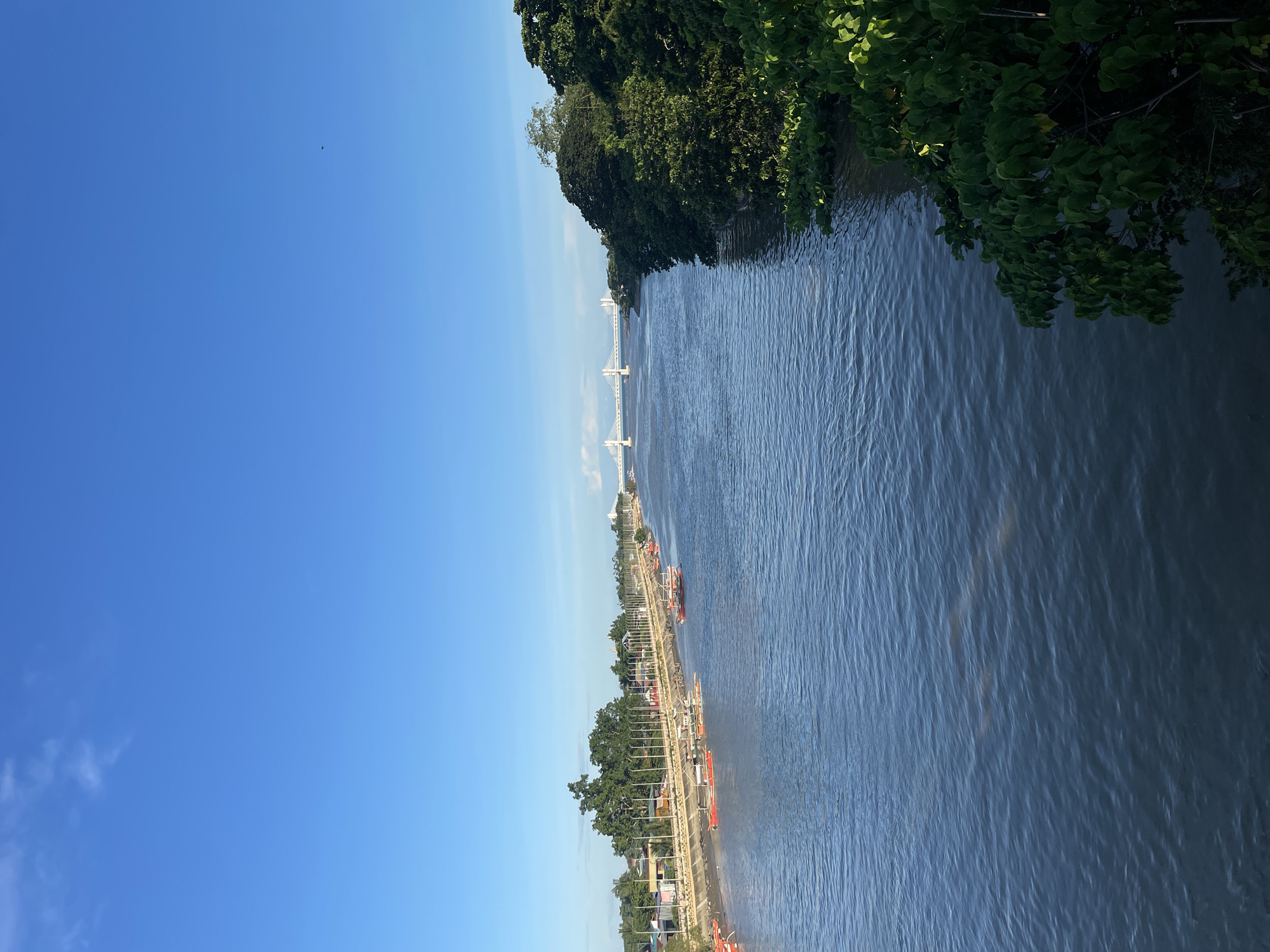 The image depicts a wide, tranquil river flowing through a city under a clear blue sky. On the left bank, a promenade is visible with rows of parked boats, many of which are small outrigger boats painted red and white, suggesting they are used for transportation or fishing. Buildings and trees line the promenade, and a series of lampposts are erected along the riverbank. In the distance, a long, white suspension bridge spans the river. The right bank of the river is densely covered with lush green trees. The water's surface shows gentle ripples, reflecting the sky and surrounding greenery. This scene is consistent with the view of the Davao River in Davao City, Philippines, possibly near the Suspension Bridge or a similar area along the riverbanks. There are no people clearly visible in the image.