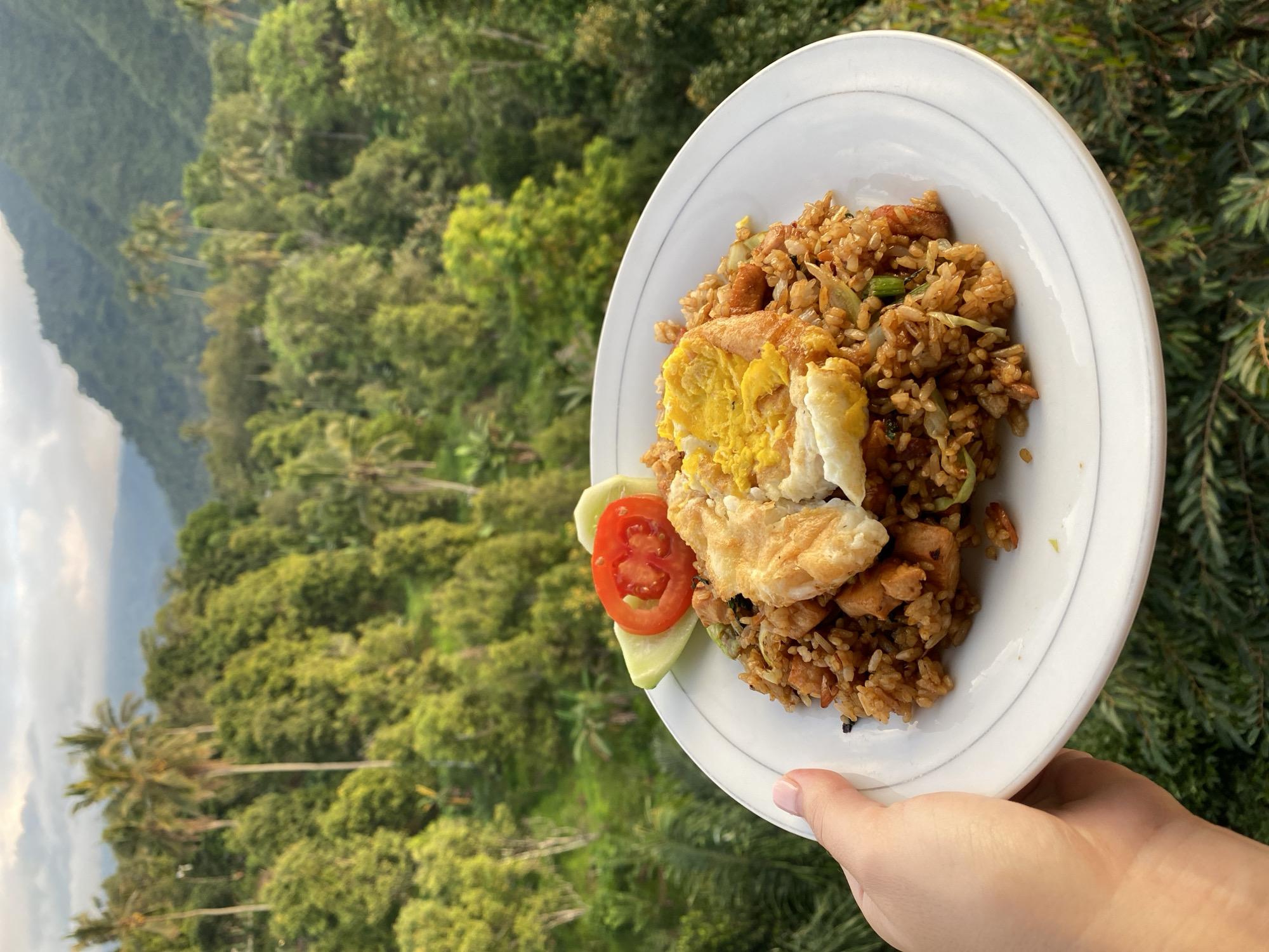A hand holds a white plate of fried rice topped with a fried egg and garnishes of tomato and cucumber. The plate is positioned in front of a lush, green hillside with numerous trees, including palm trees, and mountains in the background. The scene is likely outdoors, possibly on a balcony or terrace, with natural lighting suggesting either early morning or late afternoon. The environment evokes a tropical setting. This location is situated in Sawan, Indonesia.
