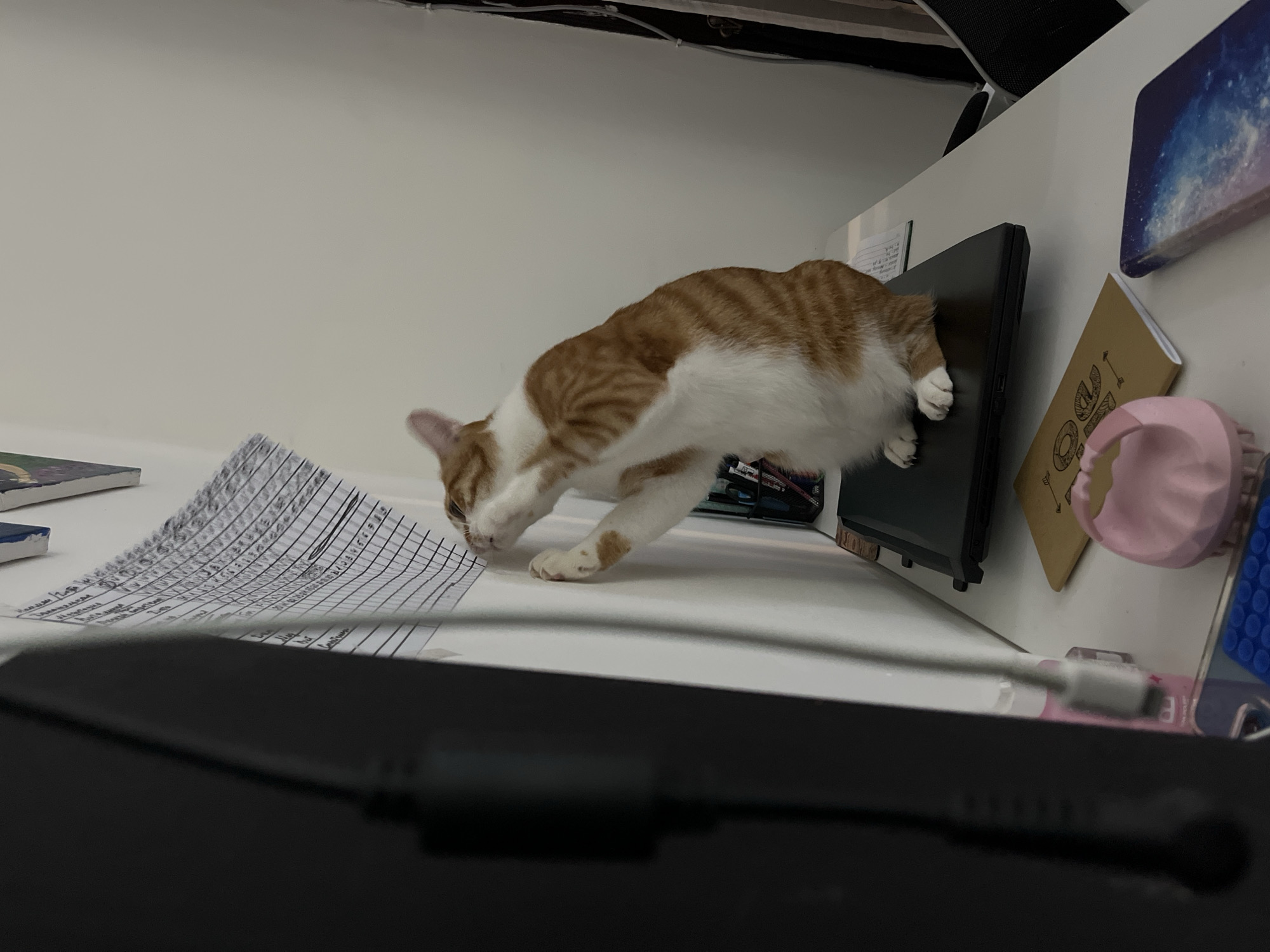 A close-up shot depicts a white and orange tabby cat on a cluttered desk. The cat is reaching towards a sheet of paper covered in handwritten tables and data. To the cat's right, on the desk's edge, is a closed laptop, a notebook, and other miscellaneous items. A partial view of a black object dominates the foreground, obscuring some of the scene. The background is a plain white wall. The location is Unknown, Indonesia.