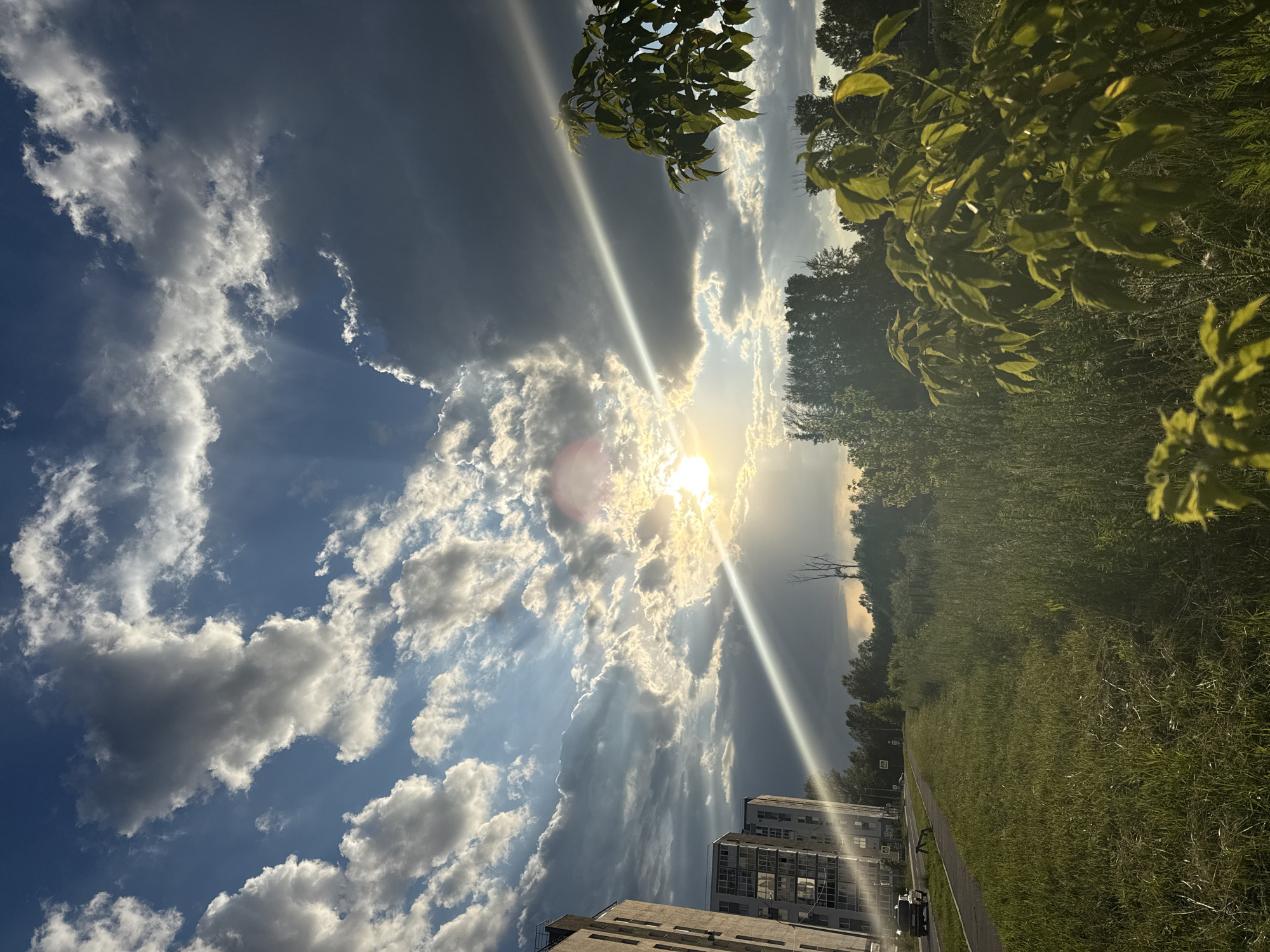 The image depicts a scene in an urban environment, likely a residential area on the outskirts of a city. The foreground is dominated by a patch of tall green grass and bushes, with some of the foliage brightly lit by the sun. A paved path runs along the left side of the frame, next to a strip of meticulously mown grass. Beyond the path, a multi-story apartment building, characterized by its light-colored facade and numerous windows, stands prominently. A single car is visible on the path in front of the building, suggesting it's an active residential area. The background features a dense line of trees, separating the built environment from what appears to be more natural or undeveloped land. The sky is a dramatic spectacle of clouds, with shafts of sunlight piercing through them, creating a striking contrast between light and shadow. The sun itself is partially obscured by clouds, casting a bright glow and a strong sunbeam that diagonally cuts across the image, creating lens flare. The overall impression is one of a late afternoon or early evening scene, with dynamic weather conditions enhancing the visual drama of the landscape.