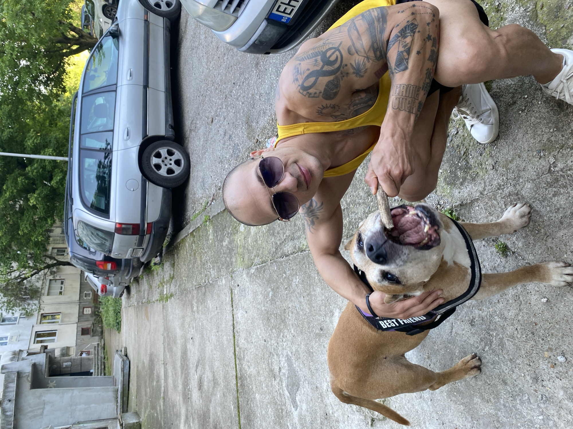An outdoor scene depicts a bald man with numerous tattoos on his arms and chest, wearing a yellow tank top, black shorts, and sunglasses, interacting playfully with a tan, short-haired dog. The man is crouched down, holding a stick which the dog is enthusiastically biting with its mouth wide open, while the man's left hand rests gently on the dog's side.
The setting appears to be a concrete area, possibly a residential street or parking lot, in Pleven, Bulgaria. In the background, a silver station wagon is parked, with its license plate partially visible, showing "BG" and part of "EH". Other cars, multi-story residential buildings with various window types, and green trees are also visible further back, suggesting an urban or suburban environment.
Notable details include the man's collection of tattoos; one on his forearm clearly reads "GAME OVER", and others feature musical notes and abstract designs. The dog wears a black harness with the words "BEST FRIEND" prominently displayed in white text. The man has a calm expression, possibly a slight smile, and the dog appears highly engaged and happy during the interaction. The lighting suggests it is daytime, possibly with an overcast sky or during the late afternoon, creating soft, diffused light across the scene.