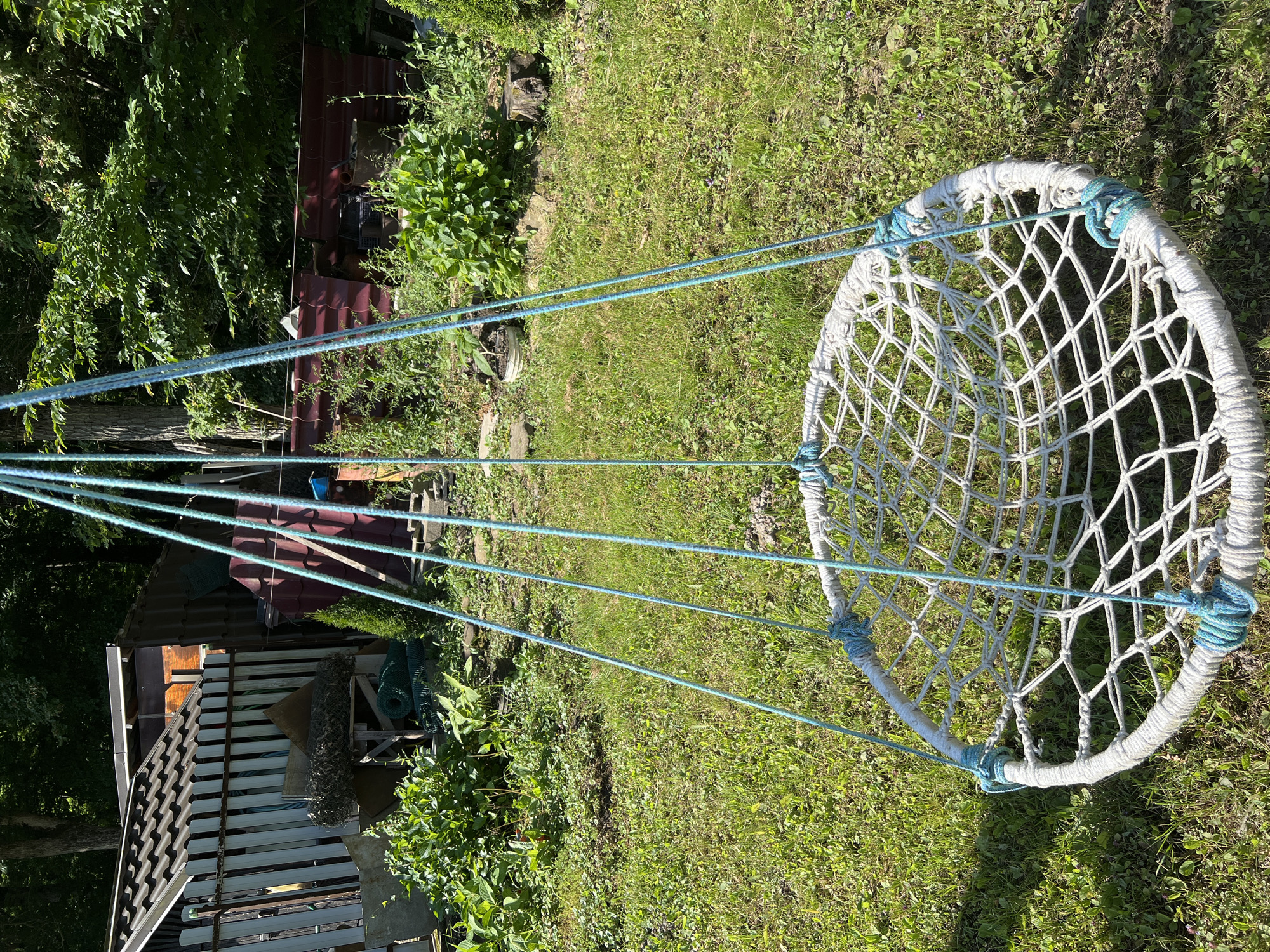 A white net hammock swing with blue rope accents hangs suspended from four blue ropes in a grassy backyard. The hammock has a white rope border and a diamond-patterned net. Behind the swing, a wooden fence, a shed with a corrugated metal roof, and dense green foliage are visible. The ground is covered in green grass with patches of clover. The scene is lit by bright sunlight, casting shadows. This is likely a residential backyard in Goryachiy Klyuch, Russia, given the context provided.