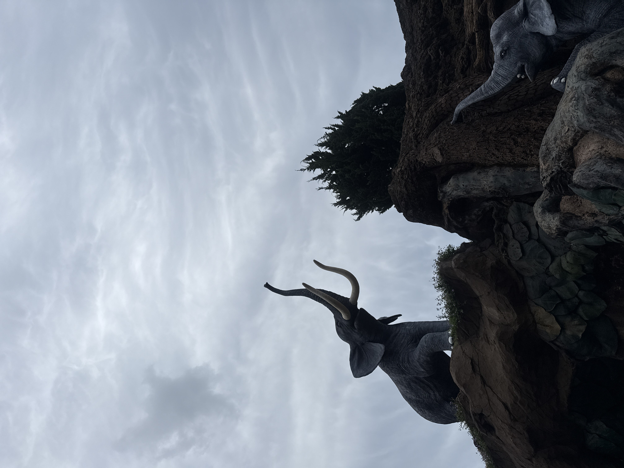 The image shows a dramatic, low-angle view of two elephant statues positioned on a rocky, artificial landscape. The statue on the left is larger, depicted in a seated position with its trunk raised and tusks curved upwards against a cloudy sky. The statue on the right is smaller and appears to be crawling or leaning forward, with its trunk also extended. A dark, dense evergreen tree is visible behind the elephants, perched on the rocky outcrop. The overall scene is dark and moody due to the overcast sky. This tableau is located at the Da Lat Elephant Village (Làng voi Đà Lạt) in Da Lat, Vietnam, a tourist attraction known for its elephant-themed sculptures and natural surroundings.