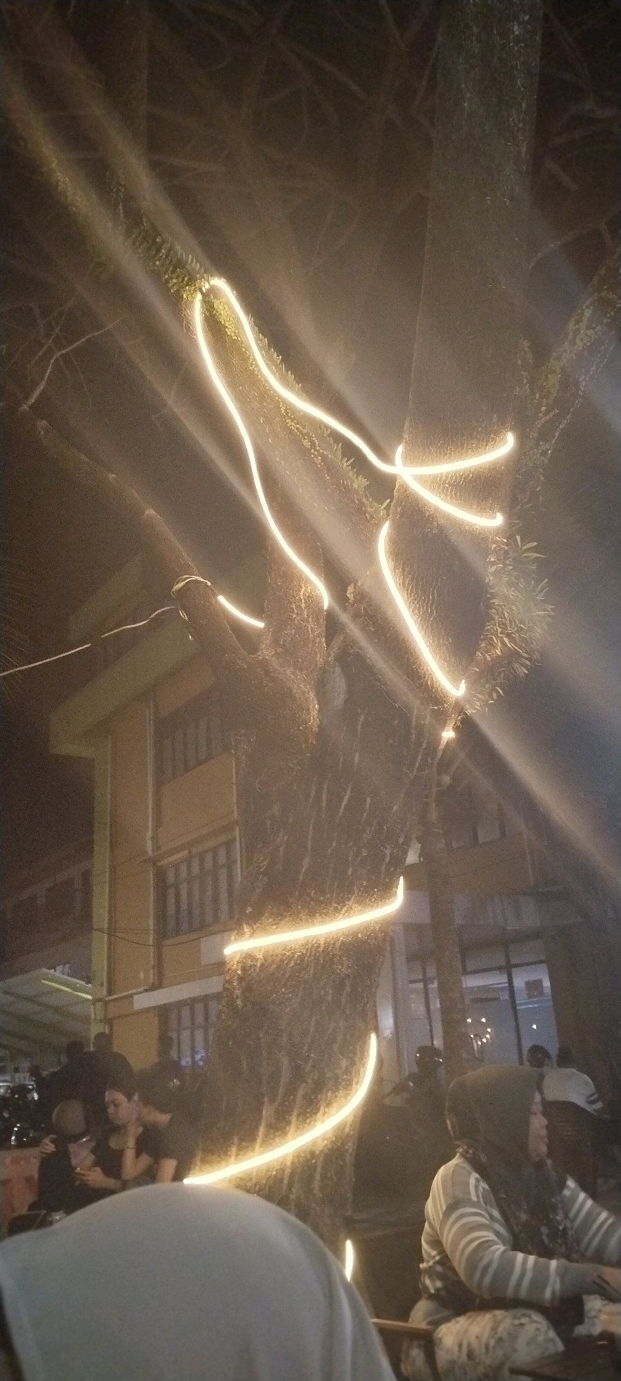 In Balikpapan, Indonesia, a large tree is adorned with bright yellow, glowing string lights that spiral around its trunk and branches. The tree is situated outdoors, possibly in a park or a public space, as indicated by the presence of a building with windows in the background. Several people are visible, some in silhouette, seated or standing near the tree. One woman in the foreground wears a headscarf and a striped sweater, appearing to be seated. Another group of individuals is gathered further back, with some in close proximity to each other. The lighting from the string lights creates a warm and festive ambiance, with light rays emanating outwards. The overall scene captures a nighttime setting with an emphasis on the decorative lighting of the tree and the casual gathering of people.