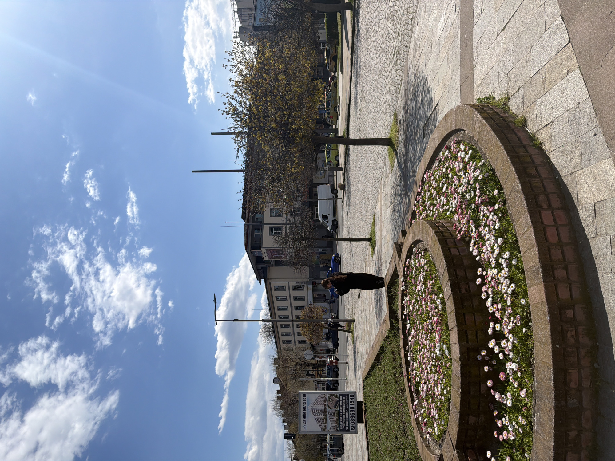 Here is a detailed description of the image:
**Scene:** The image depicts a city scene, likely in Unknown, Unknown. It's daytime under a bright blue sky with scattered white clouds. The perspective is from the ground, looking upwards.
**Objects:** There is a circular flower bed lined with brick, filled with small white and pink flowers. A person is standing next to the flowerbed. A street with buildings, trees, lampposts and parked cars runs along the background. There are advertisements on the left.
**Environment:** The environment is an urban setting with clear skies. The scene has good lighting due to the sunny weather.