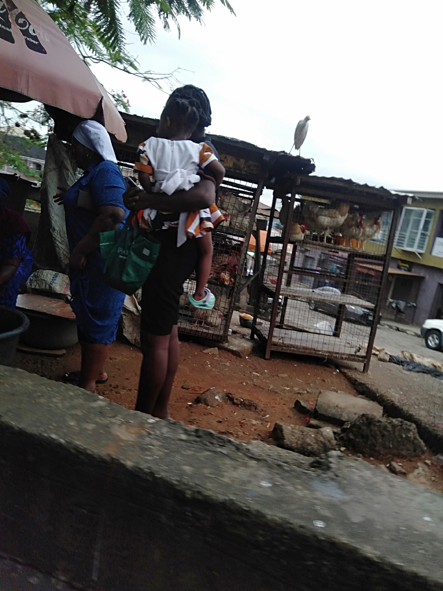 The image captures a street scene in an urban area of Unknown, Unknown. A person is carrying a small child. Adjacent to them is a woman with a white head covering. A cage containing live chickens is visible in the background. Above the cage, a white bird, possibly a heron or egret, is perched. The surrounding area consists of dirt, broken pavement, and other urban debris. A couple of cars are parked in the background. An advertisement umbrella is also visible.