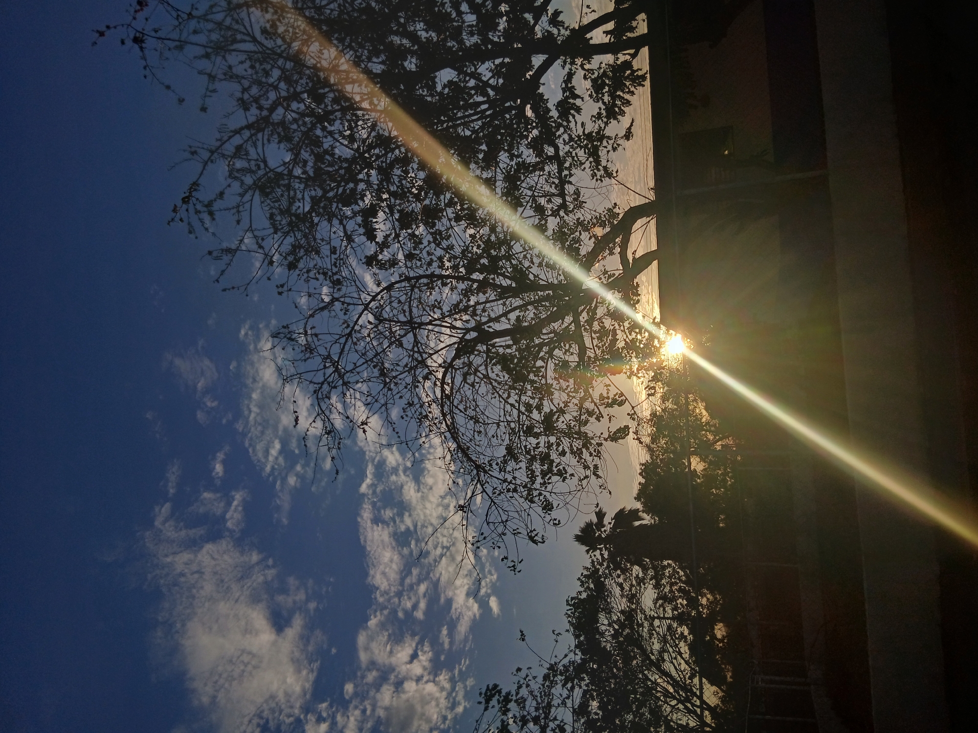The image shows a bright sun shining through trees with branches silhouetted against a blue sky with scattered clouds. A bright lens flare stretches across the image. The location is Juan Griego, Venezuela. There is also part of a structure that may be part of a building in the right-hand corner.