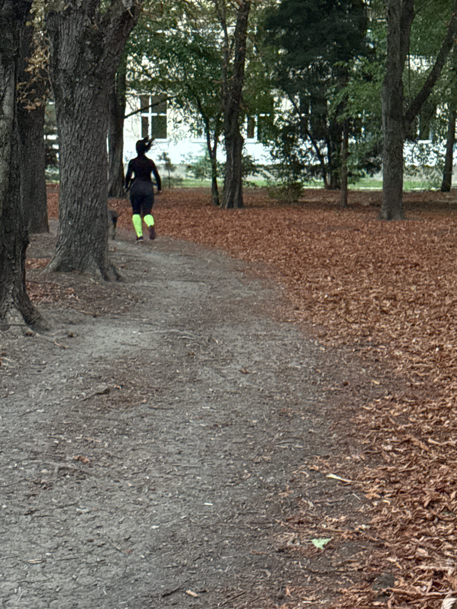A full shot shows a person running on a dirt path through a park in the autumn. The person is wearing black leggings with bright green accents on their calves and a black top. Their hair is pulled back in a ponytail. A dog can be seen running behind the person. The path is lined with trees on the left and covered in fallen brown leaves on the right. In the background, a building with white walls and large windows is visible through the trees. The lighting is overcast.