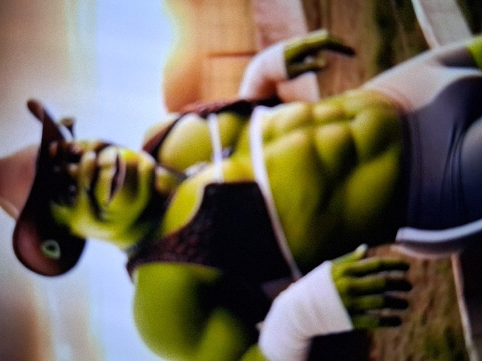 A digitally rendered, muscular, green-skinned humanoid character resembling Shrek is depicted from the waist up, leaning forward in an outdoor setting. The character wears a dark brown cowboy hat, an open dark brown vest, and dark grey athletic shorts with white side stripes. White athletic wraps are present on both wrists, and a white strap crosses the figure's chest. Prominent abdominal muscles are visible. The character leans on an indistinct dark object in the foreground. The background is blurred, showing a warm-toned sky with golden light, suggesting sunrise or sunset. The specific location within the city of Unknown, Unknown cannot be determined from this image.