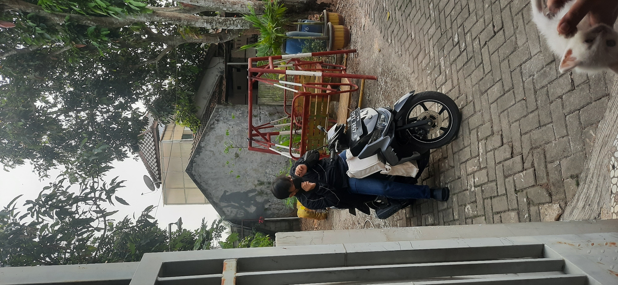 A person wearing a black jacket and blue jeans sits on a black scooter, adjusting a black face mask. The scooter is parked on a patterned brick driveway in front of a residential building with gray walls and a tiled roof. Behind the scooter, a red and white metal swing set is visible, along with trees and potted plants. To the right, a white kitten is being held by a hand. The scene appears to be in a suburban area, possibly in Cisauk, Indonesia, given the architectural style and vegetation.