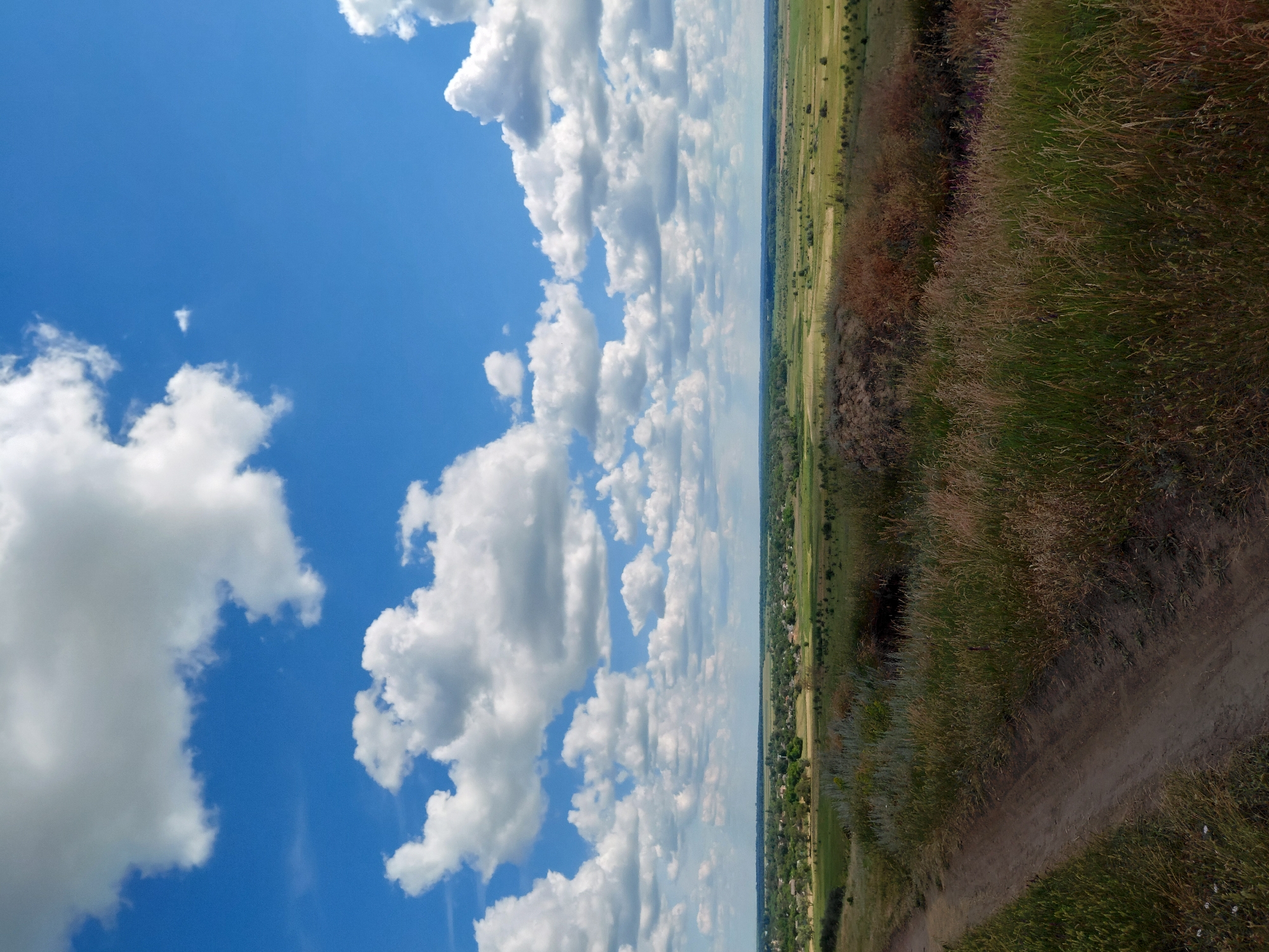 A view of a rural landscape in Ustyvytsia, Ukraine, on a clear day with puffy white clouds against a bright blue sky. In the foreground, a dirt path winds through tall, dry grass. The middle ground reveals rolling fields and scattered trees. In the distance, a small village is visible, nestled amongst the greenery. The overall scene depicts a tranquil countryside setting.