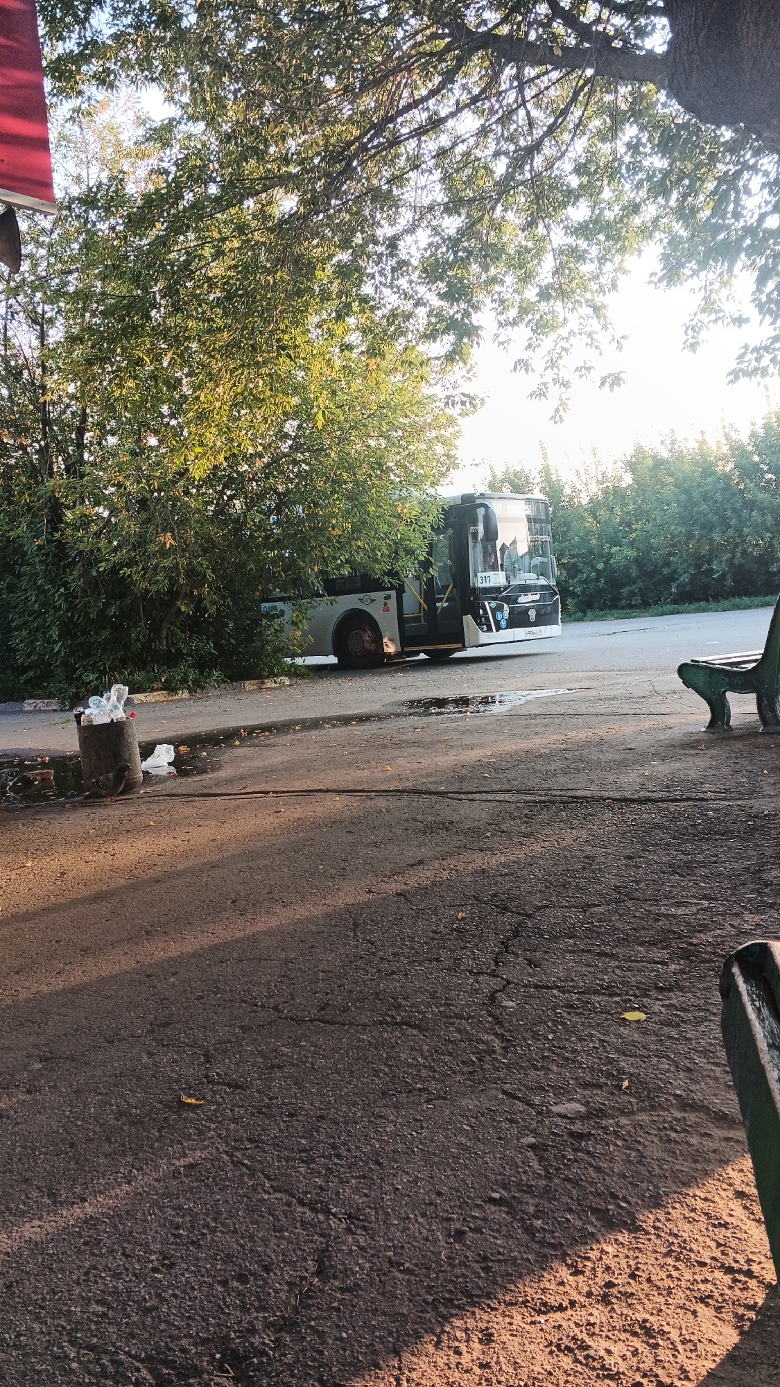 The image depicts a bus parked on a paved area, partially obscured by a large tree with green foliage. A trash can overflowing with plastic bottles is visible to the left of the bus, with two pigeons near it. A green bench is situated on the right side of the frame. The scene appears to be a bus stop or waiting area, possibly in an urban setting like Izhevsk, Russia, given the context. The lighting suggests it is daytime, with sunlight filtering through the trees. The ground is asphalt with some puddles and cracks.