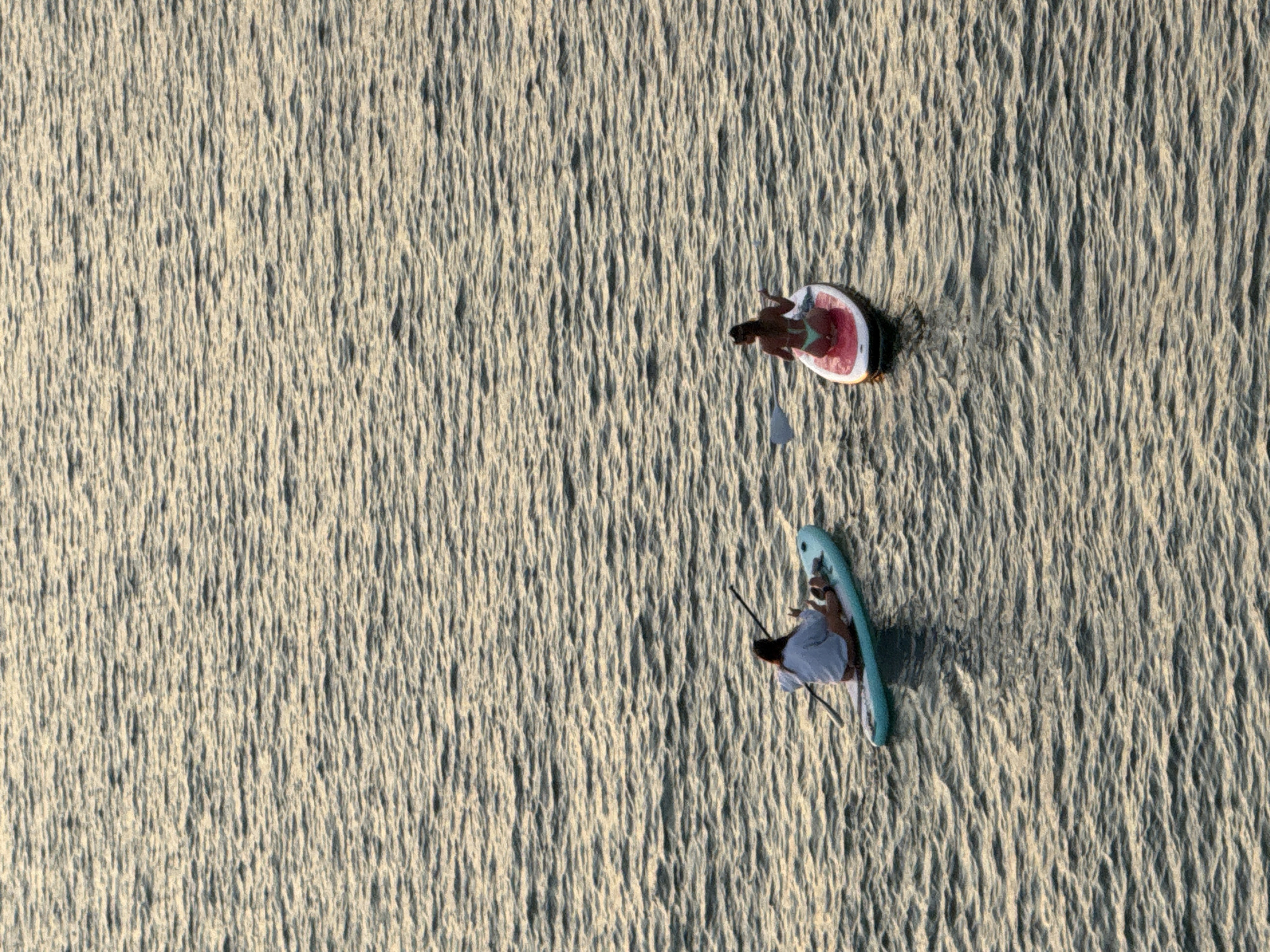 The image displays two individuals on paddleboards on a body of water in Saint Petersburg, United States of America. The water surface exhibits numerous small ripples, reflecting a warm, golden light from an unseen source.
The individual on the left is seated on a light blue paddleboard, wearing a light-colored long-sleeved top and dark lower garments. A small, light-colored canine is positioned on the front section of this paddleboard. This individual holds a black paddle.
The individual on the right is seated on a white paddleboard featuring a red or orange underside stripe. This person is attired in a dark-colored bikini top and light blue bikini bottoms. A light-colored paddle is held.
Both individuals are oriented with their backs to the viewer, facing generally towards the upper-left quadrant of the frame. They maintain a distance of approximately one paddleboard length between them. No other persons, vessels, or land features are visible within the frame.