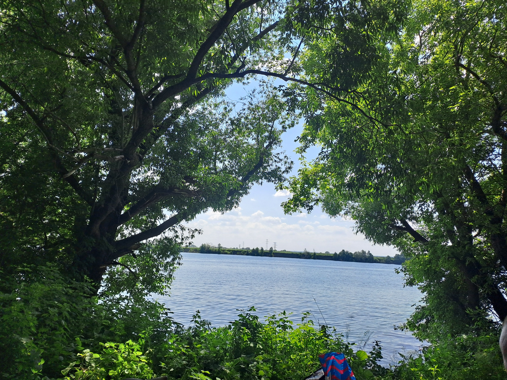 Framed by the lush green foliage of trees on either side, the image captures a serene view of a wide, calm river under a bright, partly cloudy sky. The water is a deep blue, with gentle ripples indicating a slight breeze. In the distance, the opposite bank is lined with a strip of trees and vegetation, beyond which are faint outlines of power lines and distant structures, suggesting a developed area. The foreground is dominated by dense, vibrant green bushes and the thick branches and leaves of trees. A small portion of a colorful striped beach towel or blanket, with red and blue stripes, is visible on the right side of the foreground. The scene suggests a peaceful, natural setting near a body of water.