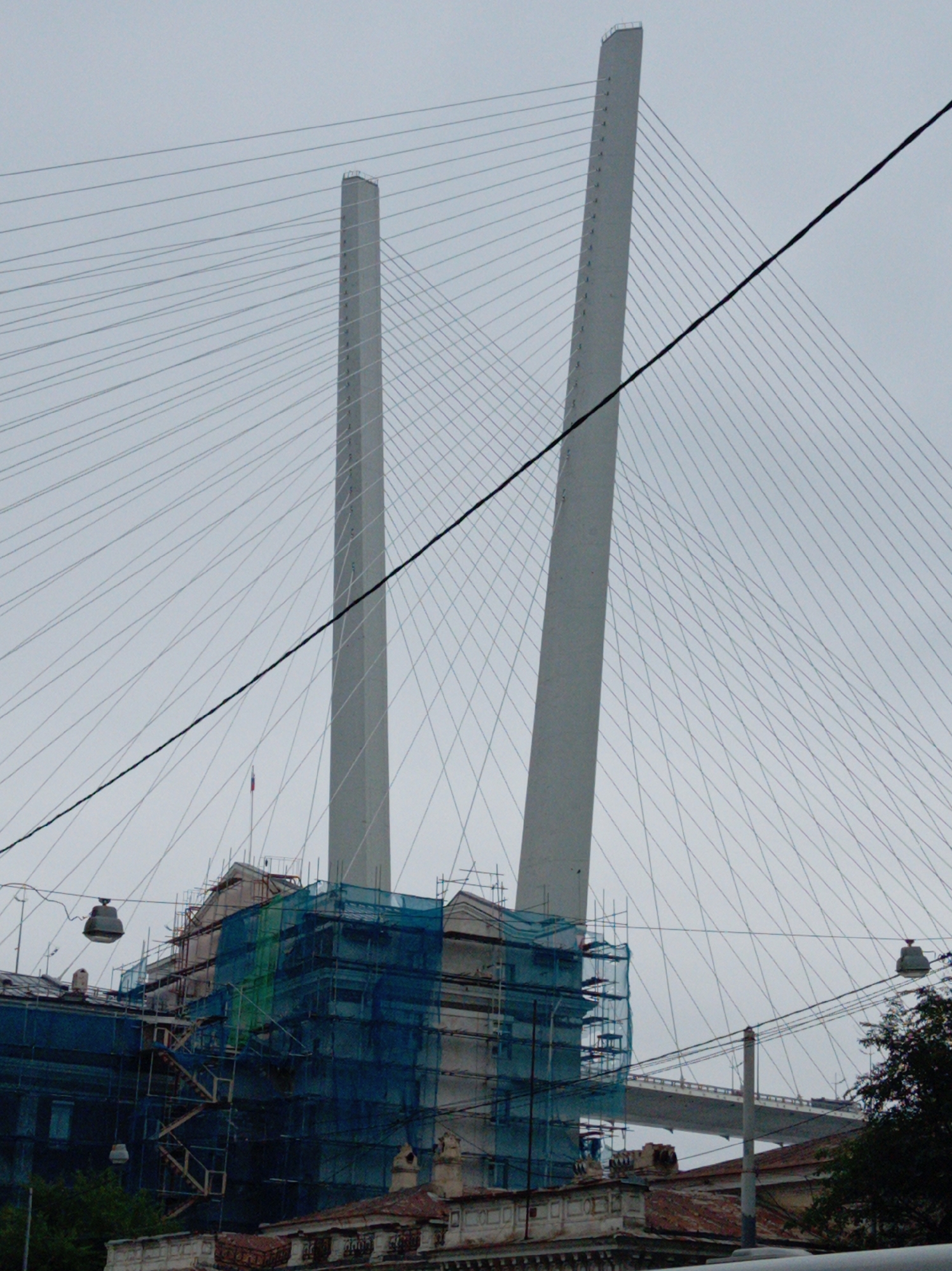 The image shows a section of the Golden Bridge in Vladivostok, Russia, a cable-stayed bridge spanning the Eastern Bosphorus strait. The foreground features buildings undergoing renovation, covered in blue scaffolding and netting. A prominent pylon of the Golden Bridge dominates the upper portion of the frame, with its numerous cables fanning out against a pale, overcast sky. Another pylon is visible to the left, partially obscured by the scaffolding. The lower part of the image reveals rooftops and trees, suggesting an urban environment. There are no people clearly visible in the scene. The overall impression is one of ongoing construction and engineering on a grand scale, juxtaposed with the older architecture of the city below.