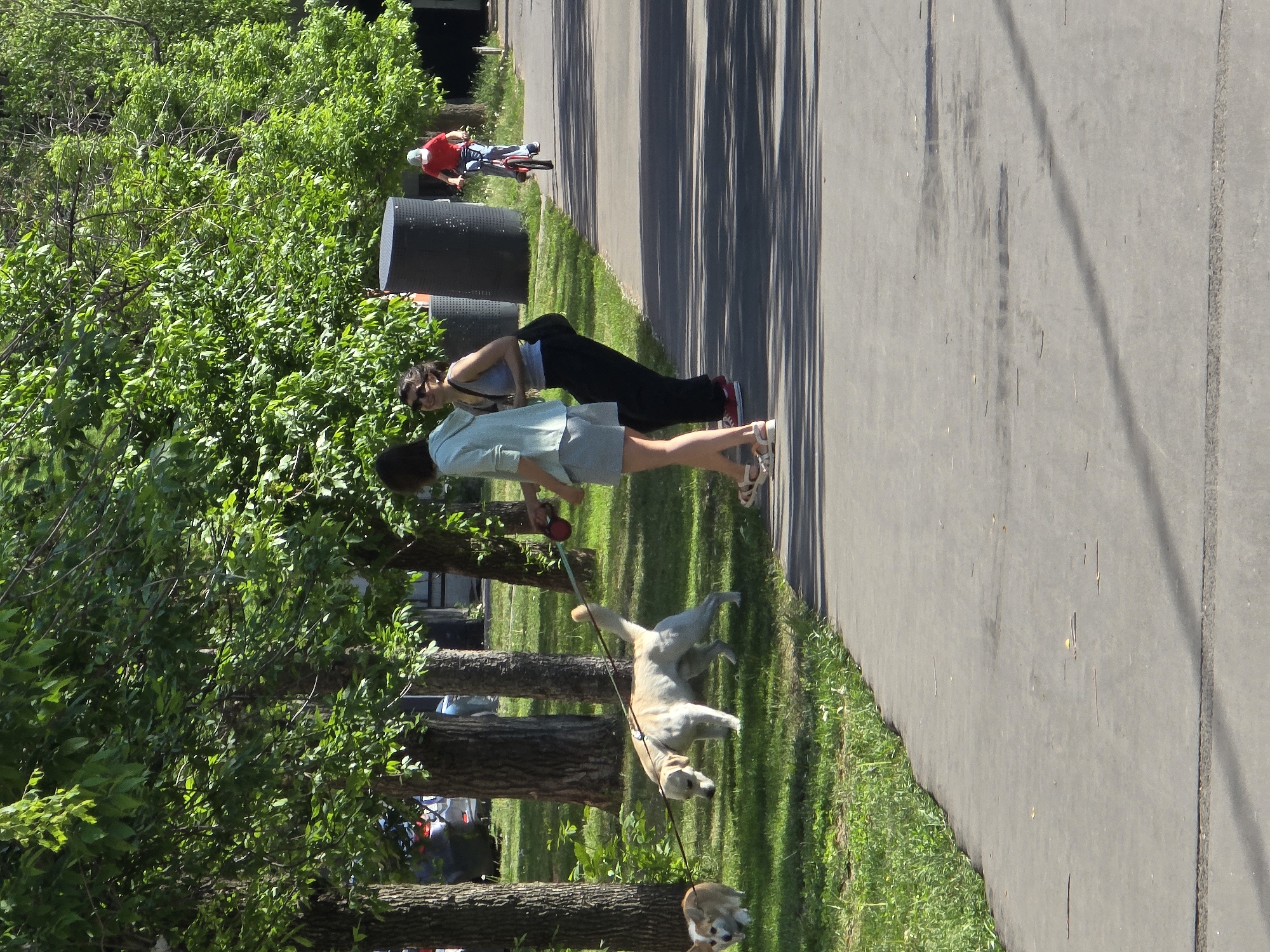 The image depicts a park setting, likely located in Moscow, Russia. A woman in a green shirt and shorts is walking a light-colored, larger dog on a leash. A smaller dog is also present, closer to the tree line. Another woman, wearing a tank top and dark pants, walks alongside her. They are on a paved path adjacent to a grassy area with trees, with a bicycle rider visible further down the path. The scene is brightly lit, indicating it is daytime.