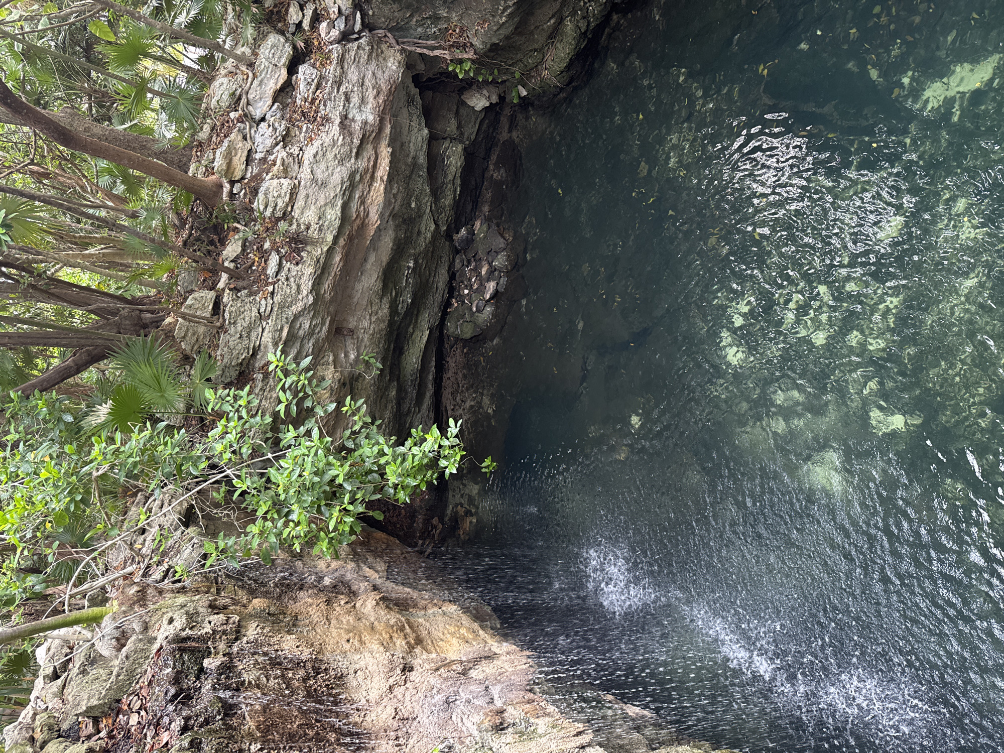A top-down shot shows a natural sinkhole, or cenote, likely located near Playa del Carmen, Mexico, judging by the tropical vegetation and limestone formations. The cenote is filled with clear, green-tinged water with visible sunlit areas on the bottom. A waterfall flows from a rocky ledge into the water. Limestone cliffs form the edge of the cenote, with a small cave visible on one side. Vegetation, including trees and shrubs, grows along the cliff edges.