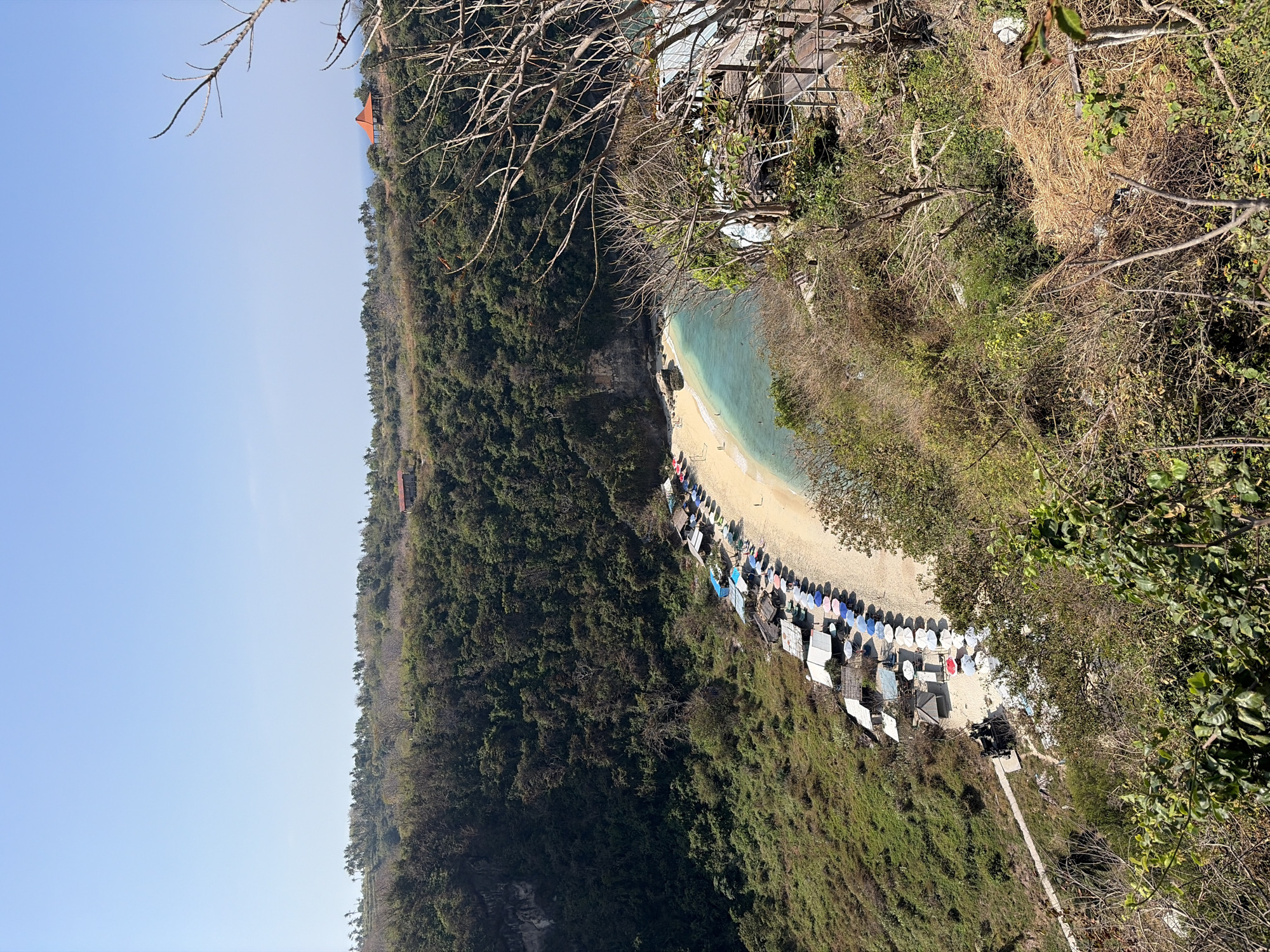 A high-angle shot captures a tropical bay in Nusa Penida, Indonesia, under a clear blue sky. A crescent-shaped sandy beach is lined with small thatched huts and numerous colorful umbrellas, suggesting a tourist area. The turquoise water laps gently at the shore, with a few people visible on the beach and in the water. The bay is nestled within a steep, verdant hillside covered in dense foliage. In the distance, several small buildings with red roofs dot the landscape. The foreground features dry, brittle branches and scrubby vegetation, indicating a drier climate on the hillside. A wooden walkway or deck is partially visible on the right side of the frame.
