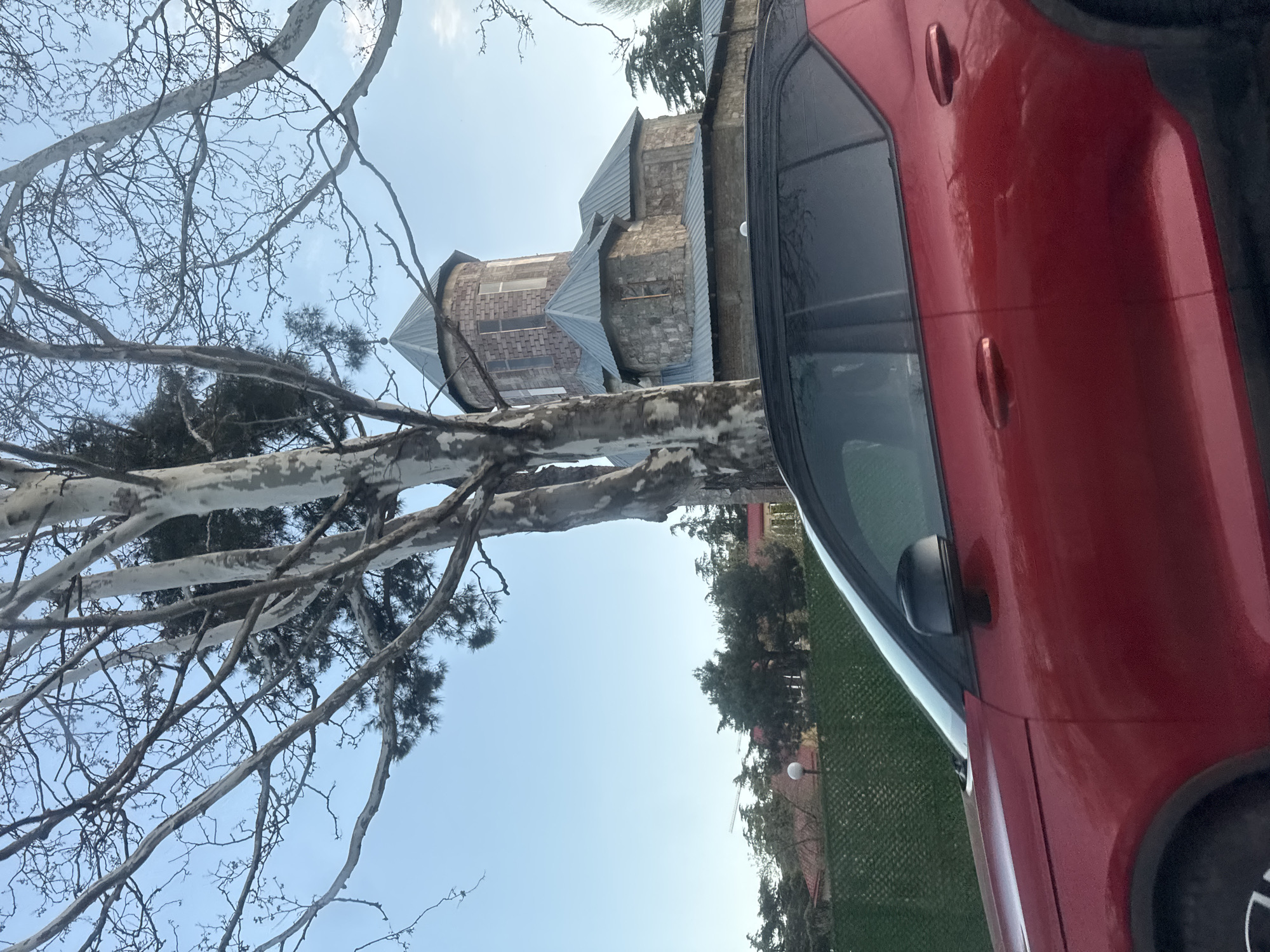 The image, when properly oriented, presents an outdoor scene under a clear blue sky, likely in Tbilisi, Georgia. In the foreground, a large, mature tree with distinctive white, peeling bark and a complex network of bare, intricate branches dominates the left and upper portions of the frame.
To the right, a vibrant red car is partially visible, showing its passenger side profile, including its tinted windows, a black side mirror, and a portion of its front wheel at the bottom right. The car appears modern.
In the middle ground, behind the tree and to the left of the car, stands a unique stone building. This structure features several sections with steeply pitched, multi-faceted roofs covered in grey material, possibly corrugated metal or shingles, and textured walls constructed from rough-hewn stone or brick. Some sections of the building display small, rectangular window openings. The architecture suggests a historical or distinctly designed structure, possibly a church or a residential building with a unique style.
Further in the background, a strip of green foliage from other trees and a manicured grassy area are visible. The sky is bright and clear, indicating a sunny day, likely during the late morning or early afternoon. There are no people visible, nor are there any explicit activities taking place. No discernible text can be observed in the image.