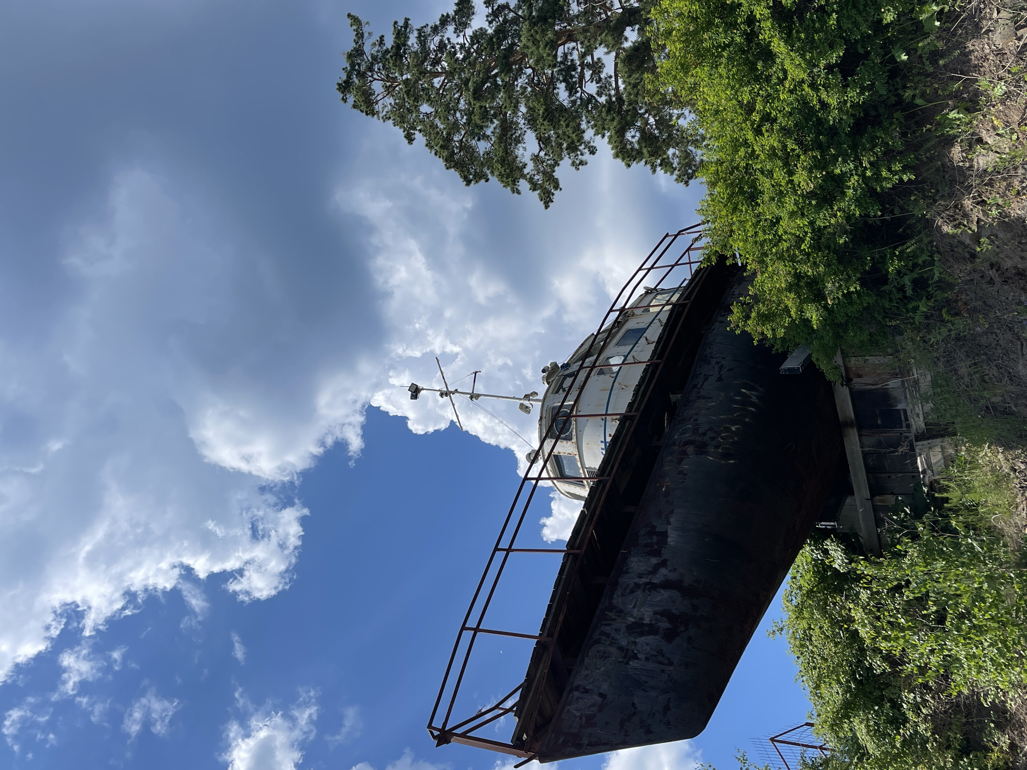 This low-angle shot captures the side of a weathered, dark-hulled vessel moored on land, its hull partially obscured by lush green foliage. The ship, which appears to be a former workboat or small freighter, is tilted upwards, with its upper deck and bridge structure visible against a vibrant blue sky dotted with fluffy white clouds. A tall, mature pine tree with spreading branches extends from the top left of the frame, its needles sharp against the sky. The boat's metal railings are rusty and show signs of age. The scene is set outdoors on a sunny day, likely in the afternoon, given the bright sky. The setting suggests a place where decommissioned vessels are kept, possibly a scrapyard or a unique land-based storage area. No people are visible. No text is discernible on the boat or in the surroundings. The overall impression is one of stillness and an almost melancholic beauty, with nature slowly reclaiming the man-made structure. The location context is Divnogorsk, Russia.