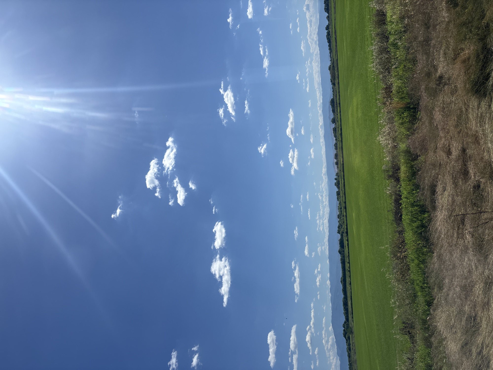 The image depicts a vast, vibrant green field under a bright, sunny sky. Scattered white cumulus clouds dot the expanse of the blue sky, which is dominated by the intense glare of the sun in the upper right corner, casting prominent light rays downwards. In the distance, a range of hazy, blue mountains forms a picturesque backdrop, with a line of trees separating the field from the mountains. The foreground is characterized by a strip of dry, tall grass and vegetation, adding a textural contrast to the smooth green of the field. The scene appears to be a rural landscape, likely in the city of Voysil, Bulgaria, given the context. There are no people or specific objects, actions, or interactions visible in the image. The environment is natural and serene, under a clear, sunlit sky.
