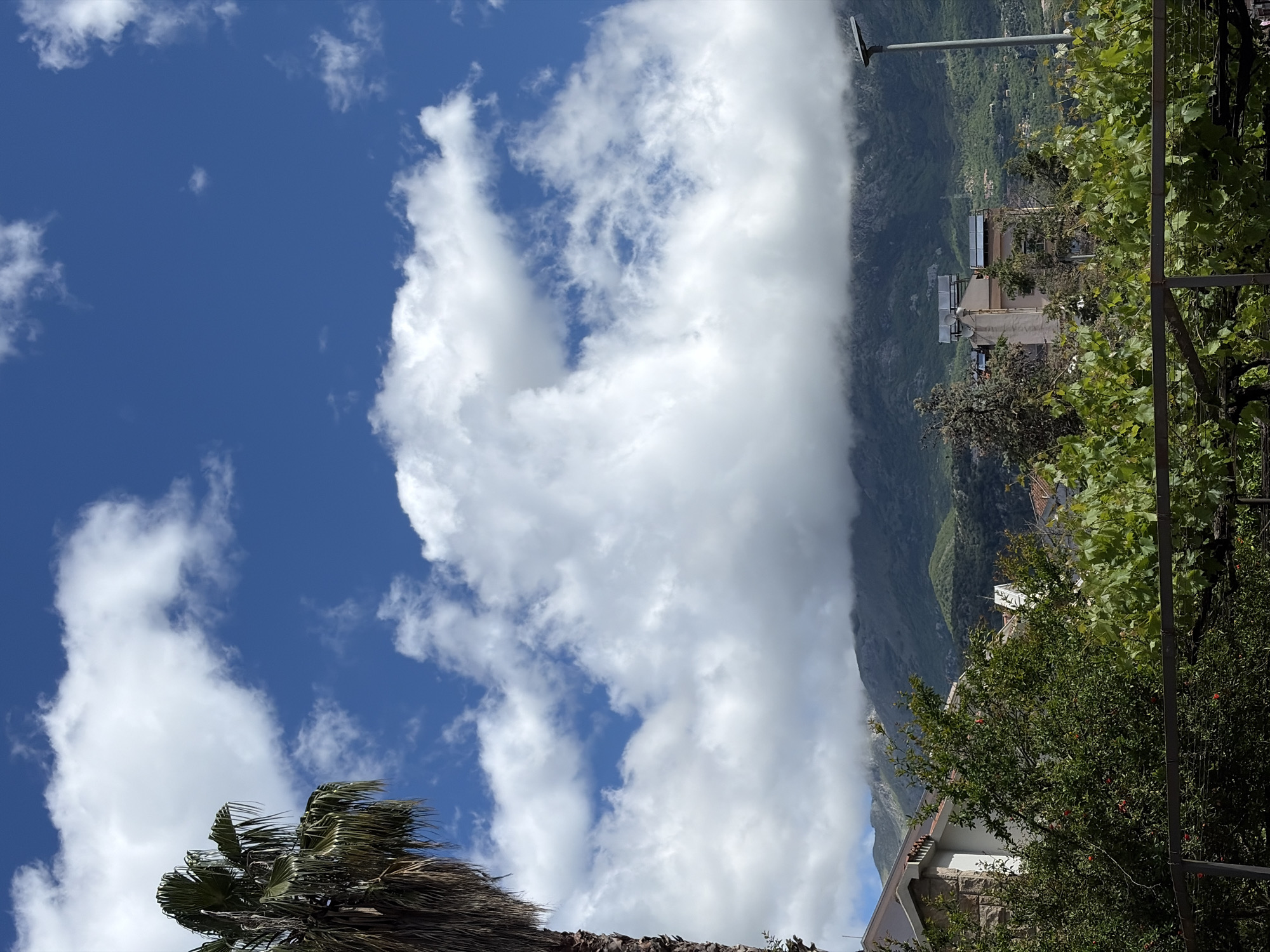 The image shows a view in Budva, Montenegro, looking up from a lower elevation towards a mountain partially obscured by clouds. The sky is blue with scattered, puffy white clouds. In the foreground, a palm tree is visible on the lower left, while the right side of the image contains vegetation and a metal trellis. A building and a street lamp are visible, along with houses in the distance. The mountain is covered in green foliage and slopes up.