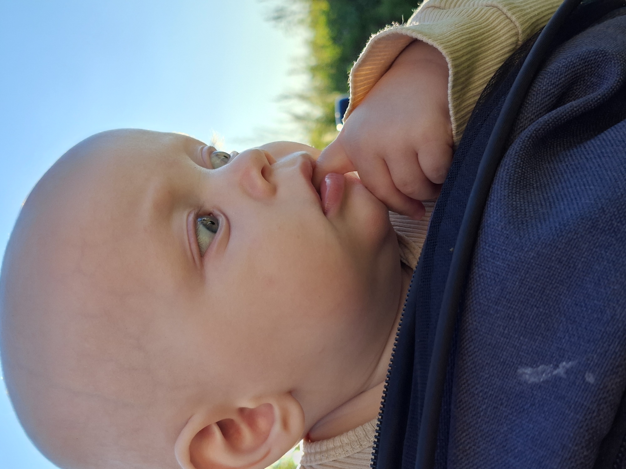 A close-up, low-angle, outdoor medium shot captures a bald baby's head and torso from the chest up, against a clear, bright blue sky and a blurred green and yellow background of foliage. The baby is positioned in the lower right quadrant of the frame, facing left and looking to the right with a curious expression. Its right hand is raised, with the index finger touching its mouth. The baby wears a light beige ribbed long-sleeved shirt. The lower portion of the image is dominated by the dark blue fabric of a carrier or stroller, with a black strap running diagonally across it. The lighting suggests it is daytime, possibly late afternoon or early morning, with soft sunlight illuminating the baby's skin. The overall scene is peaceful and intimate. The location is Unknown, Unknown.